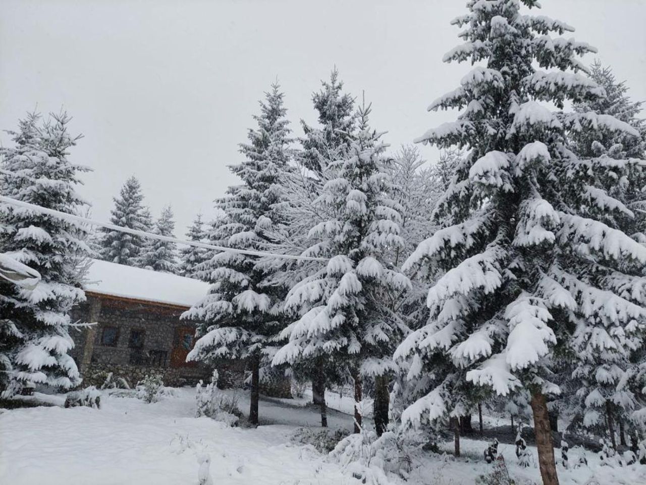 Guest house Hyrmet Demushi
