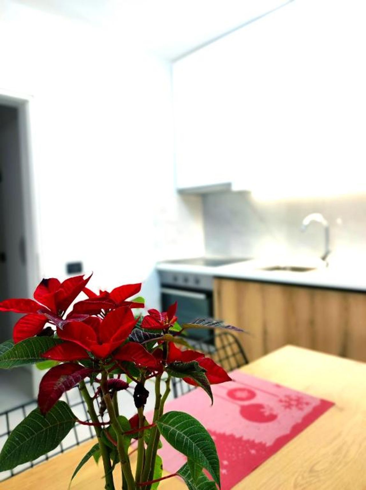 Central & Comfy 2 BR Apartment
