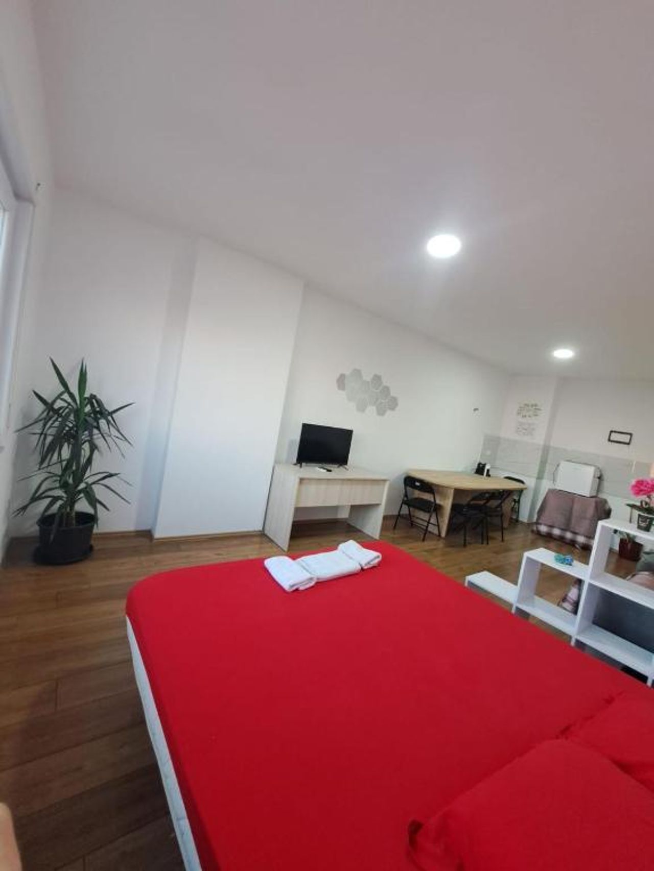 Beautiful Apartment in Tirana