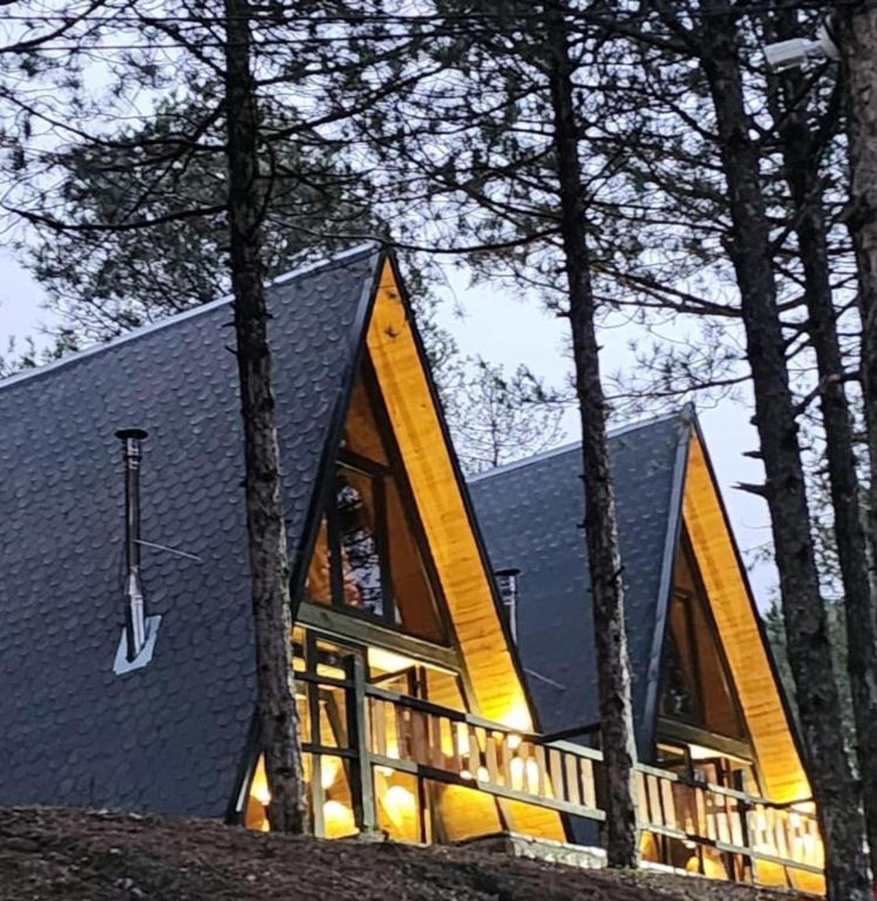 Vilat Alpine Golden Gjinar