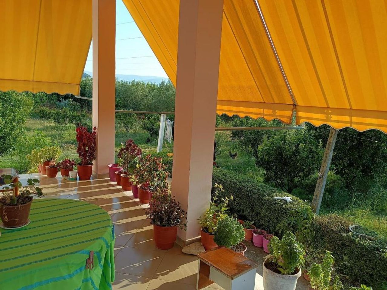 Guest house Fetie