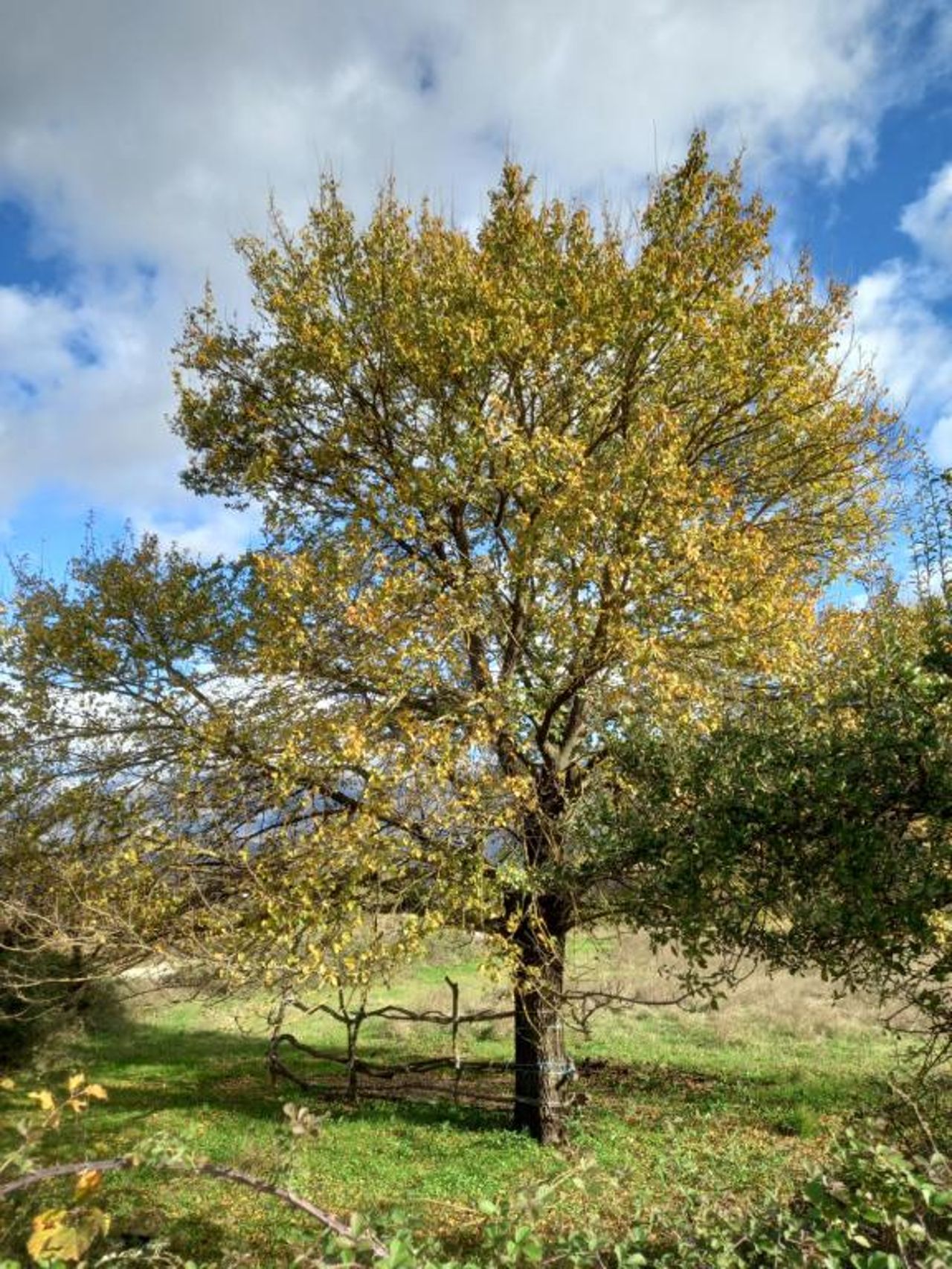 Gjirokastra Adventures Camping