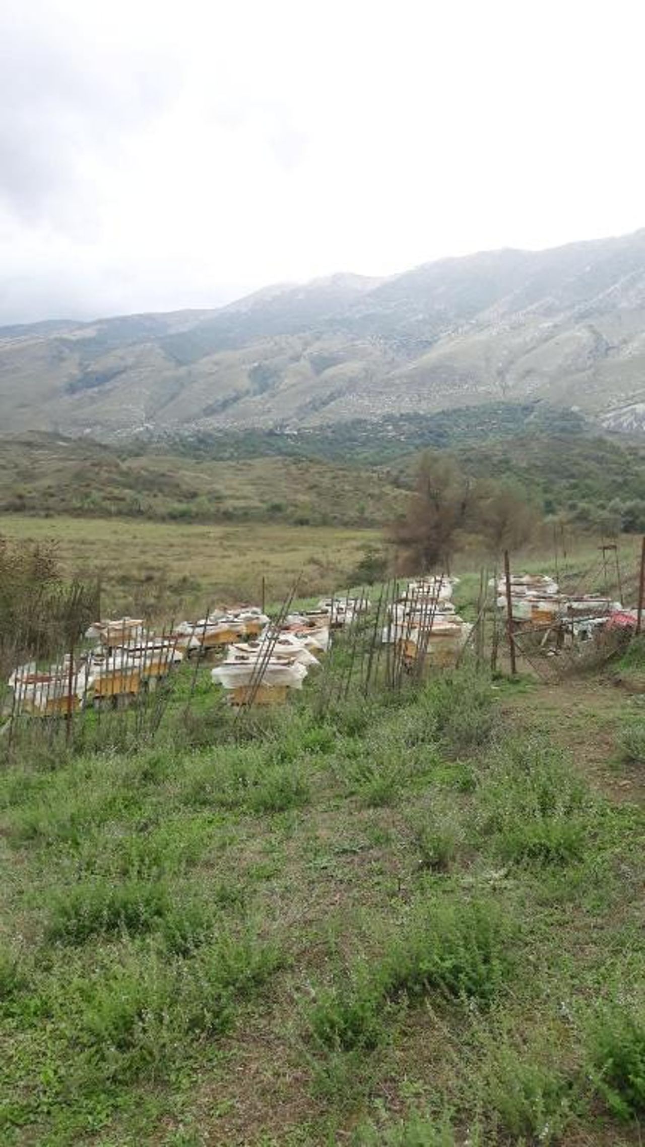 Gjirokastra Adventures Camping