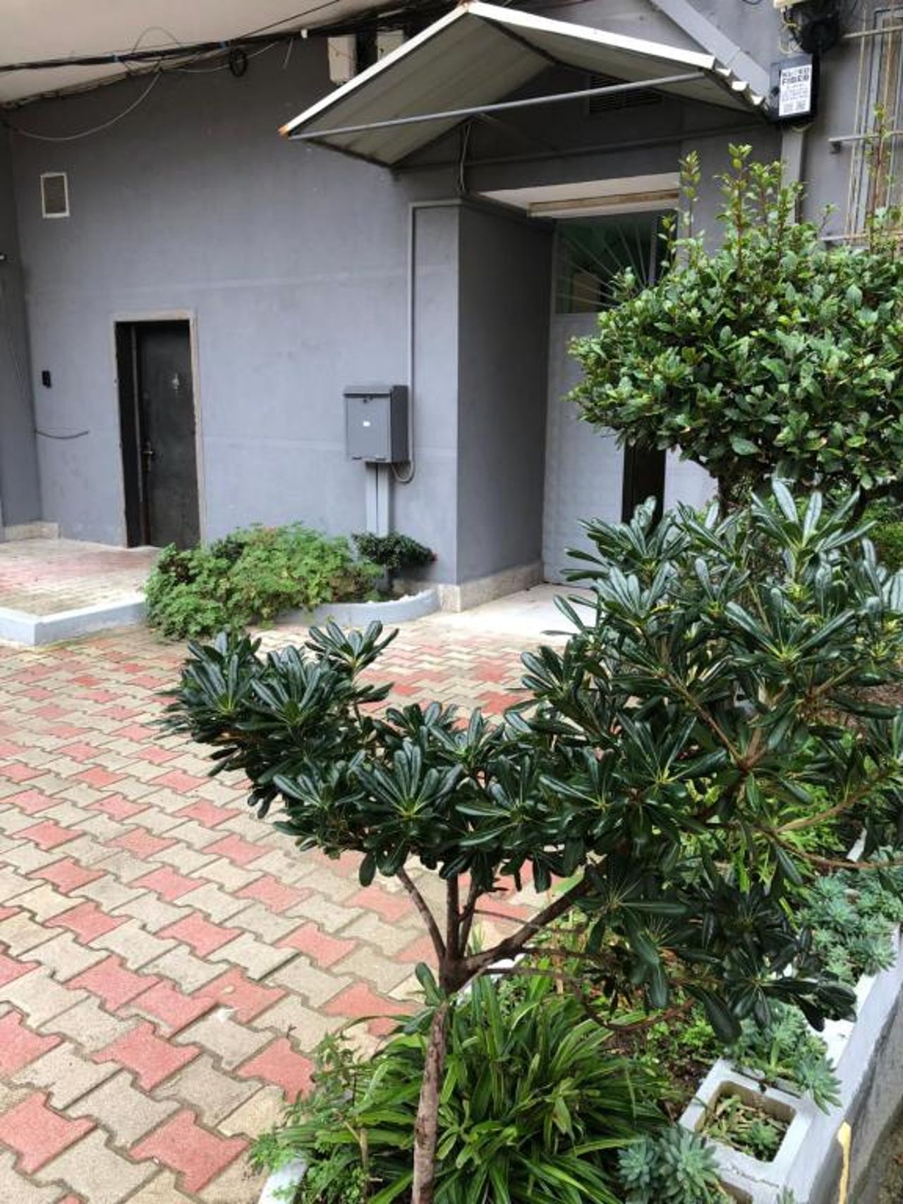 Amar’s apartment