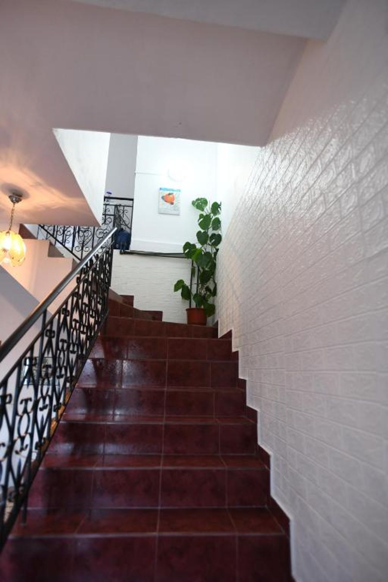 Guest House Luli