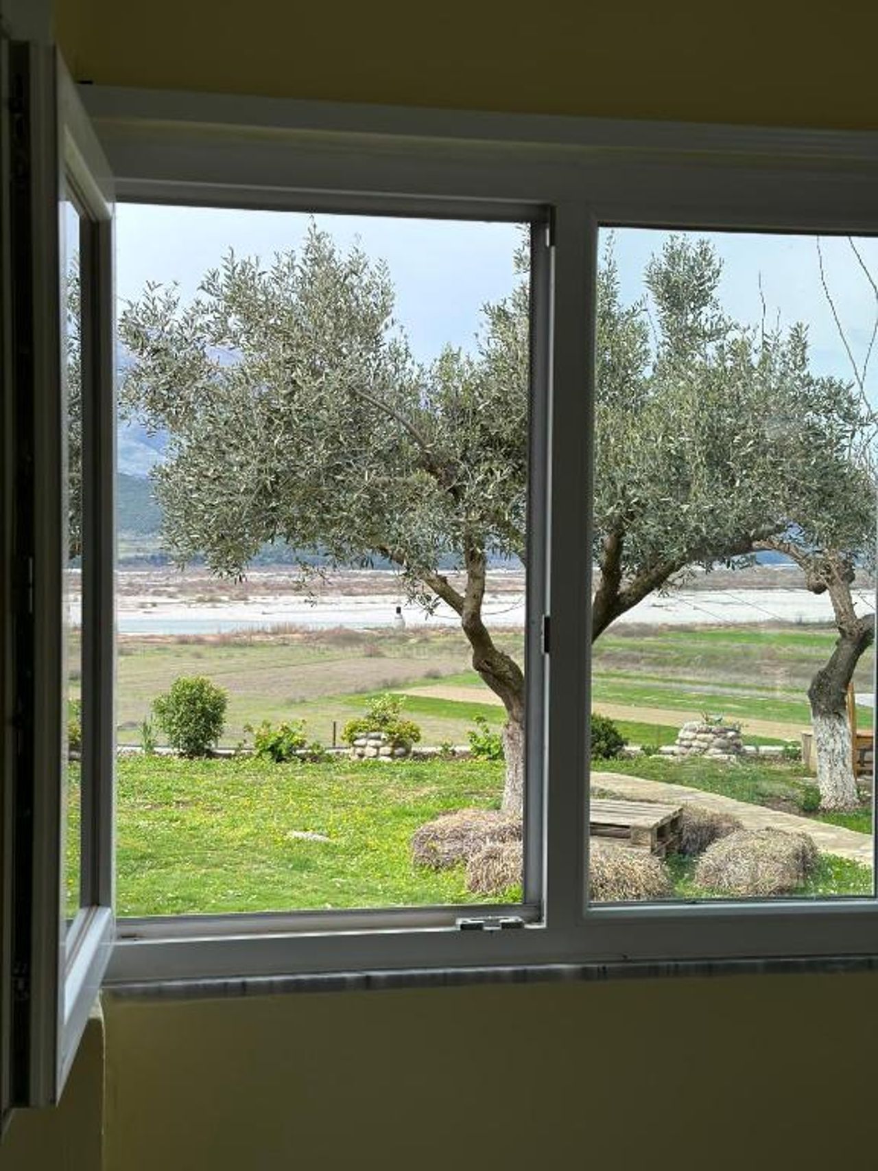 Vjosa Guest House