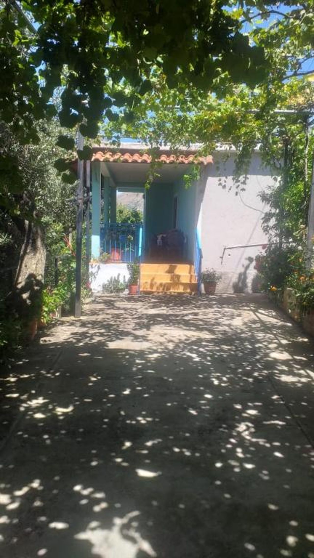 Eva's House