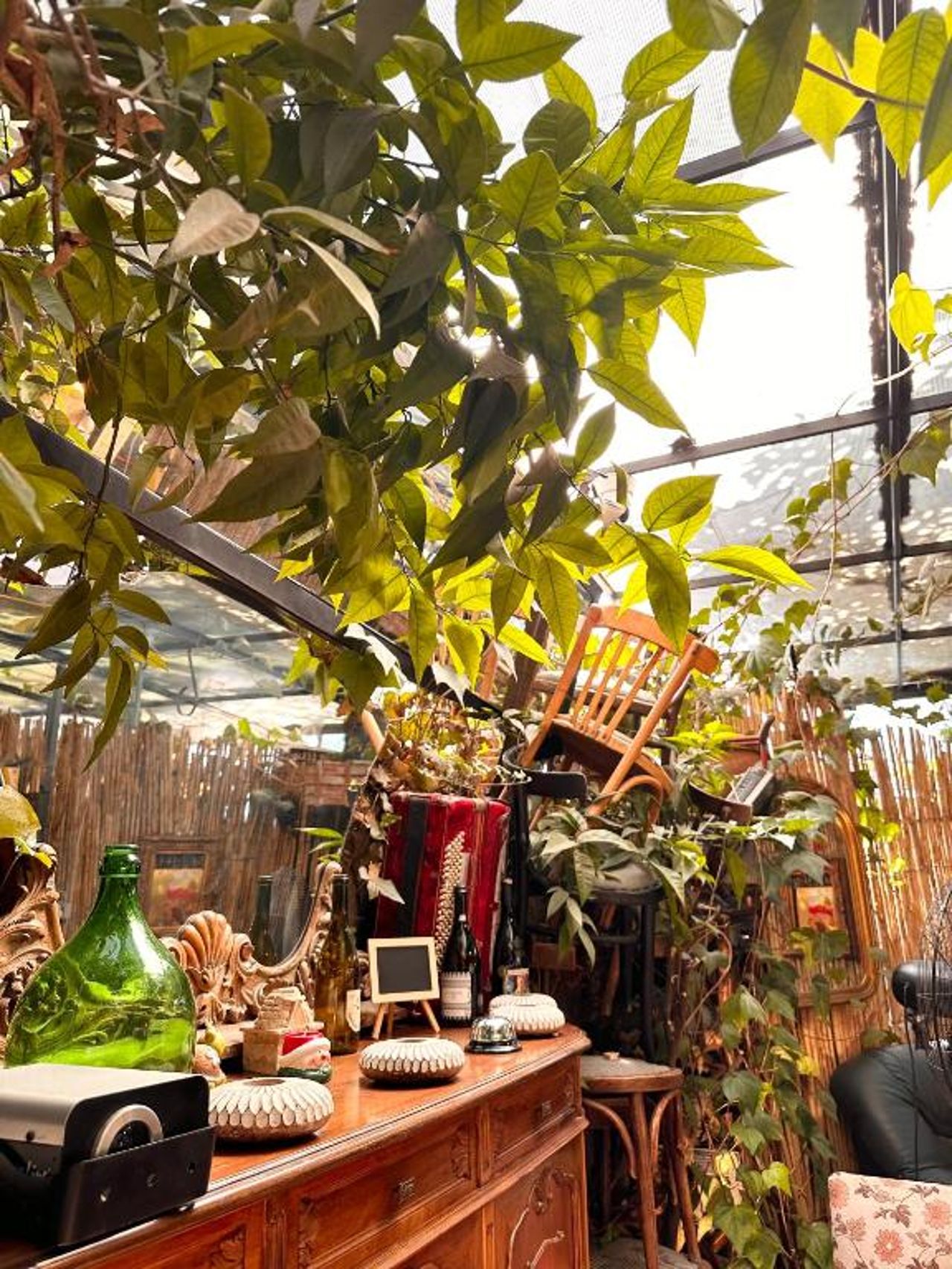 Divina Hostel