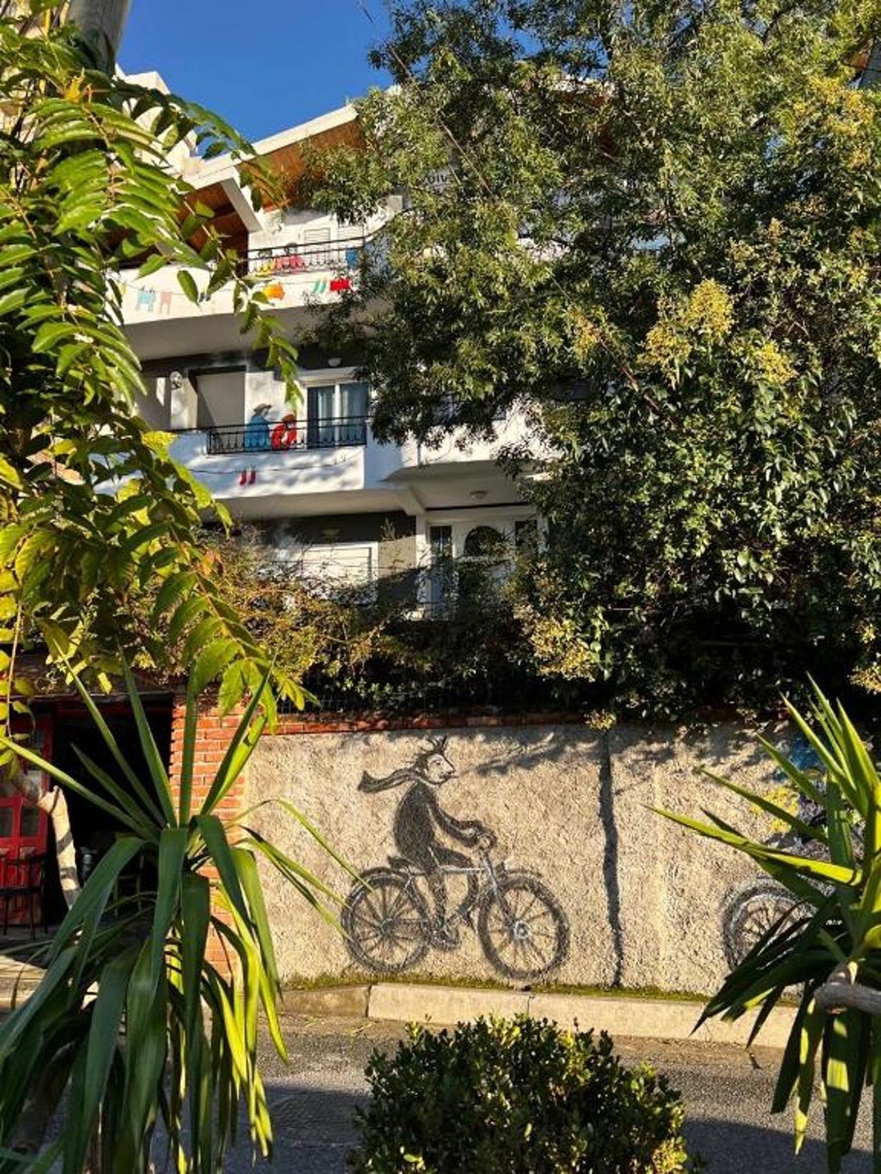 Divina Hostel