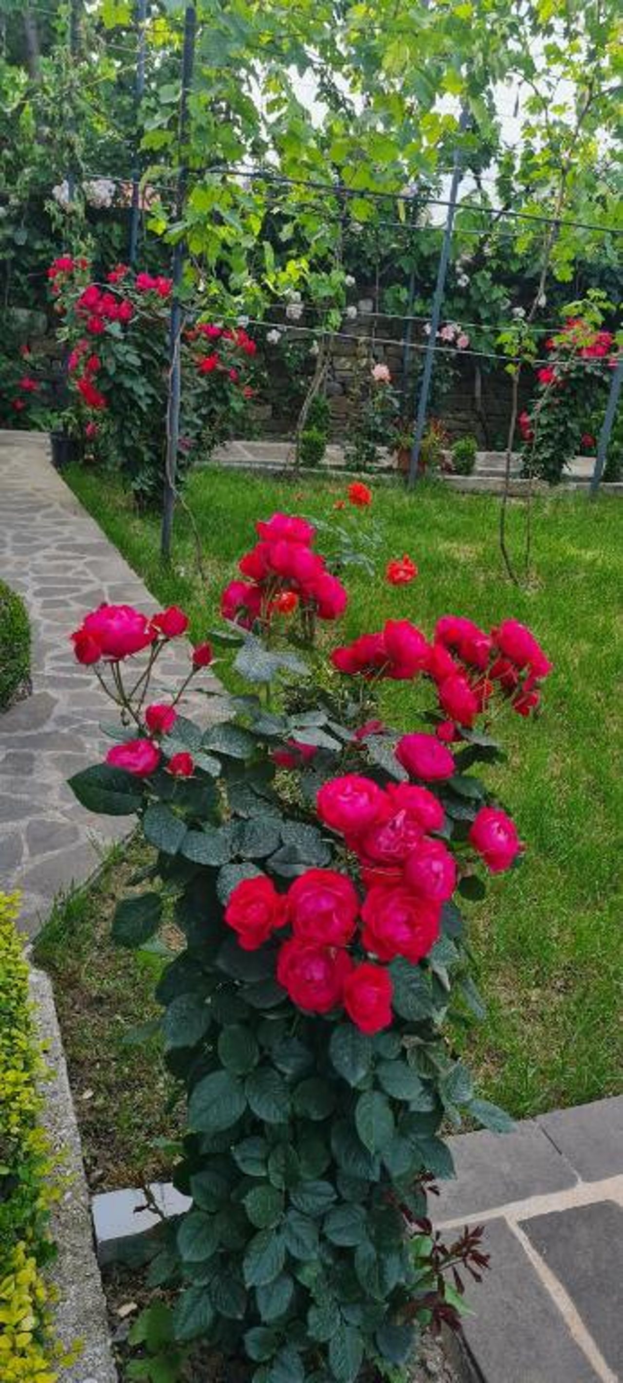 Garden Guest House