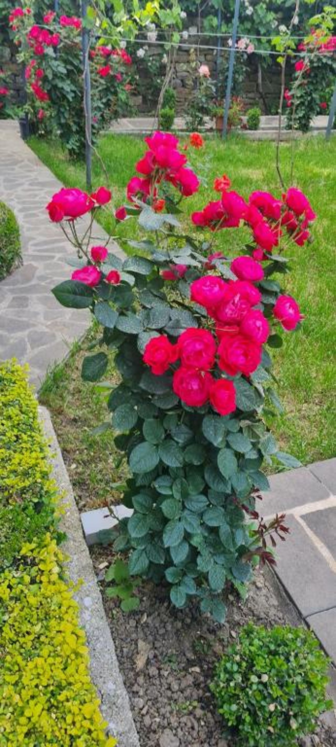 Garden Guest House