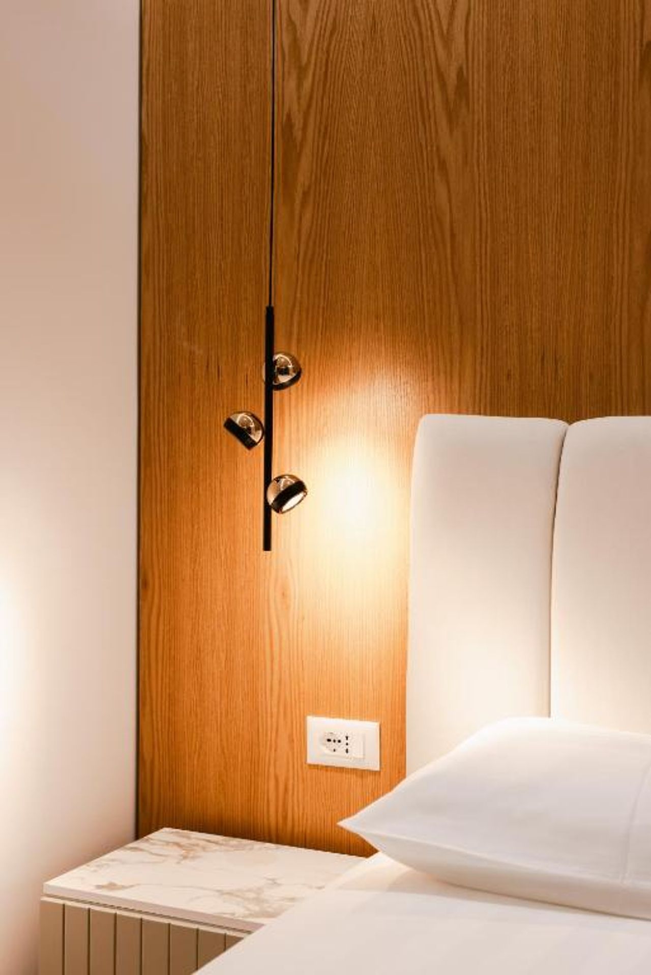 Hotel Olsi