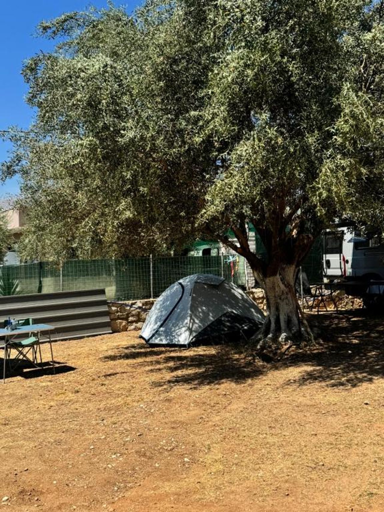 Olive Camping