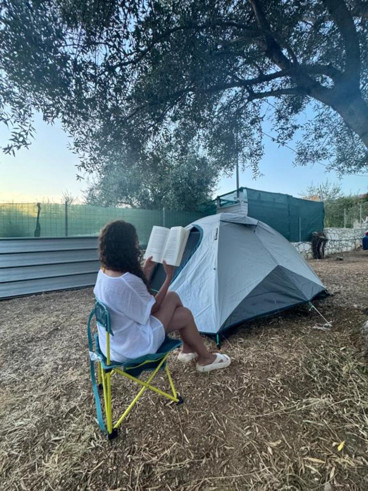 Olive Camping