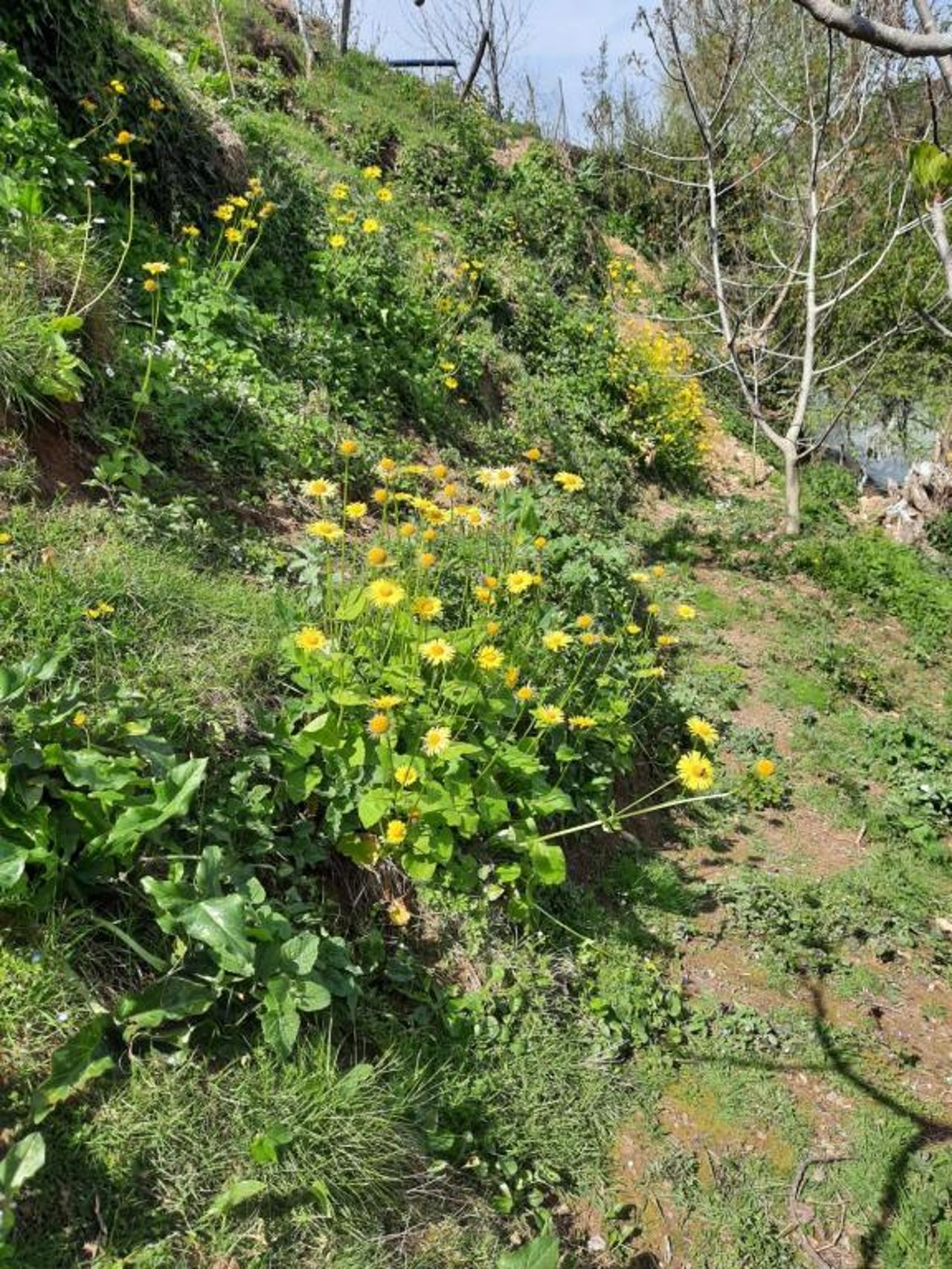Guesthouse Ndroq