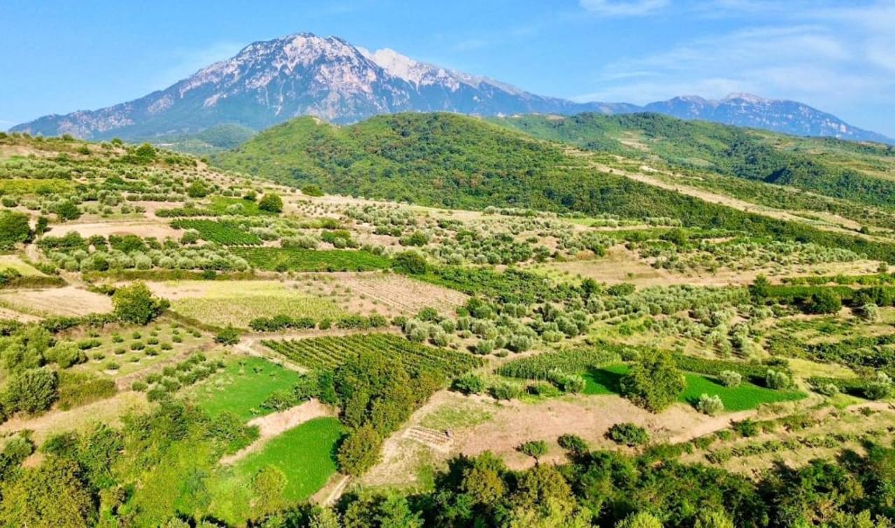 Alpeta Agrotourism & Winery - Roshnik , Berat