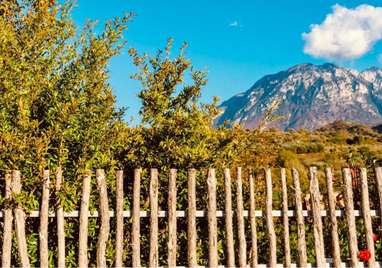 Alpeta Agrotourism & Winery - Roshnik , Berat