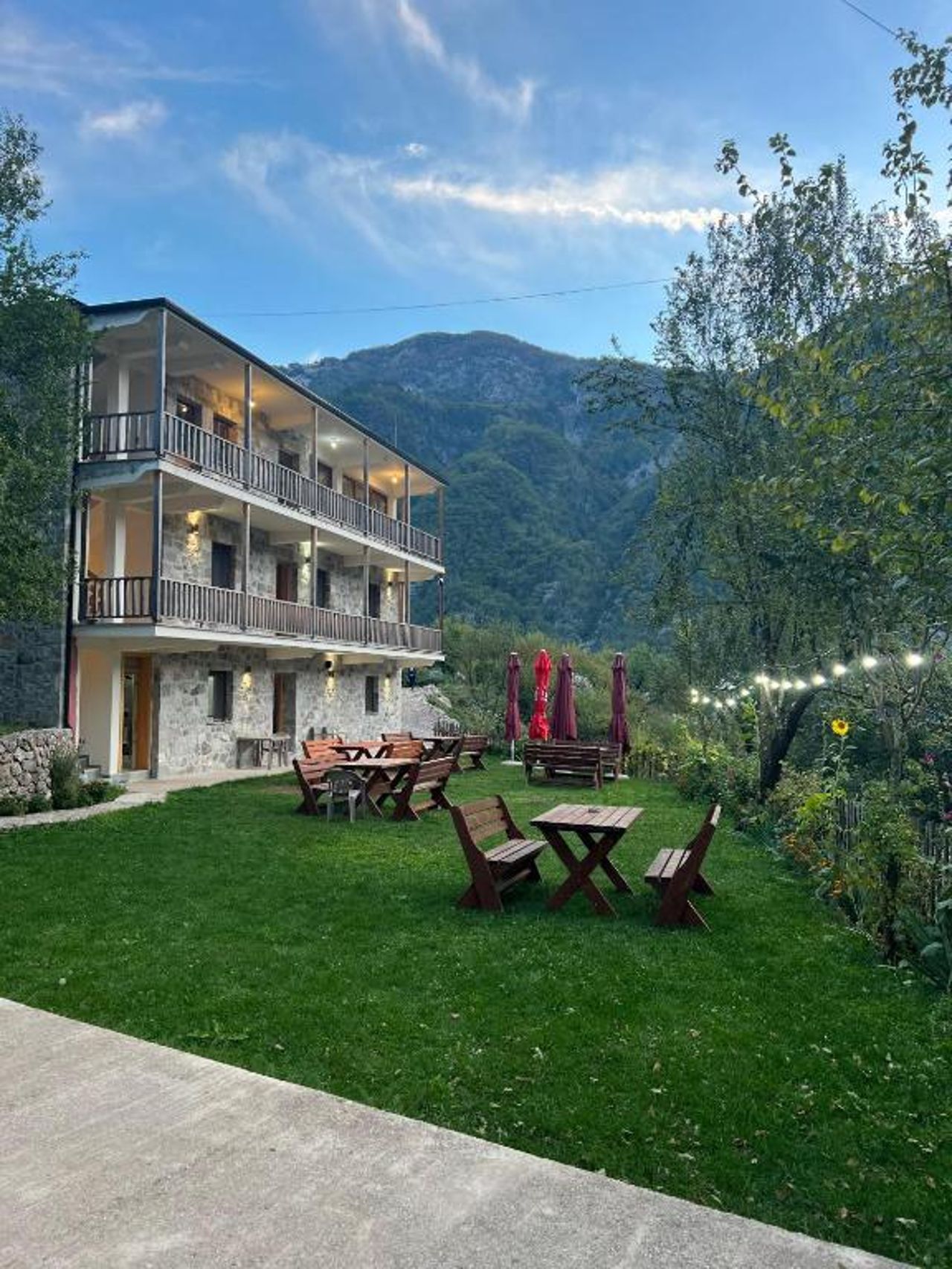Bujtina Ziçi