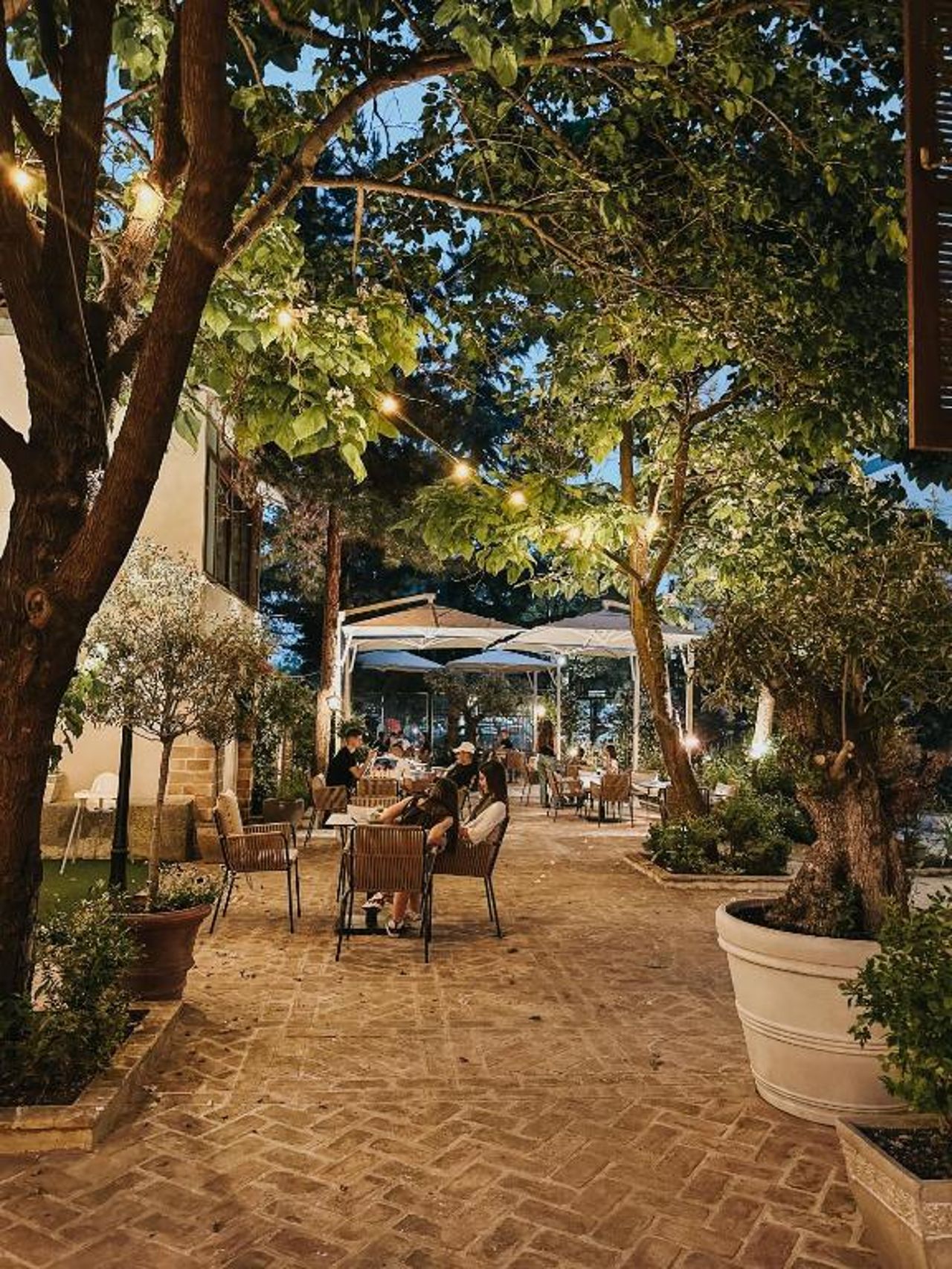 Seven Cafe and Hotel