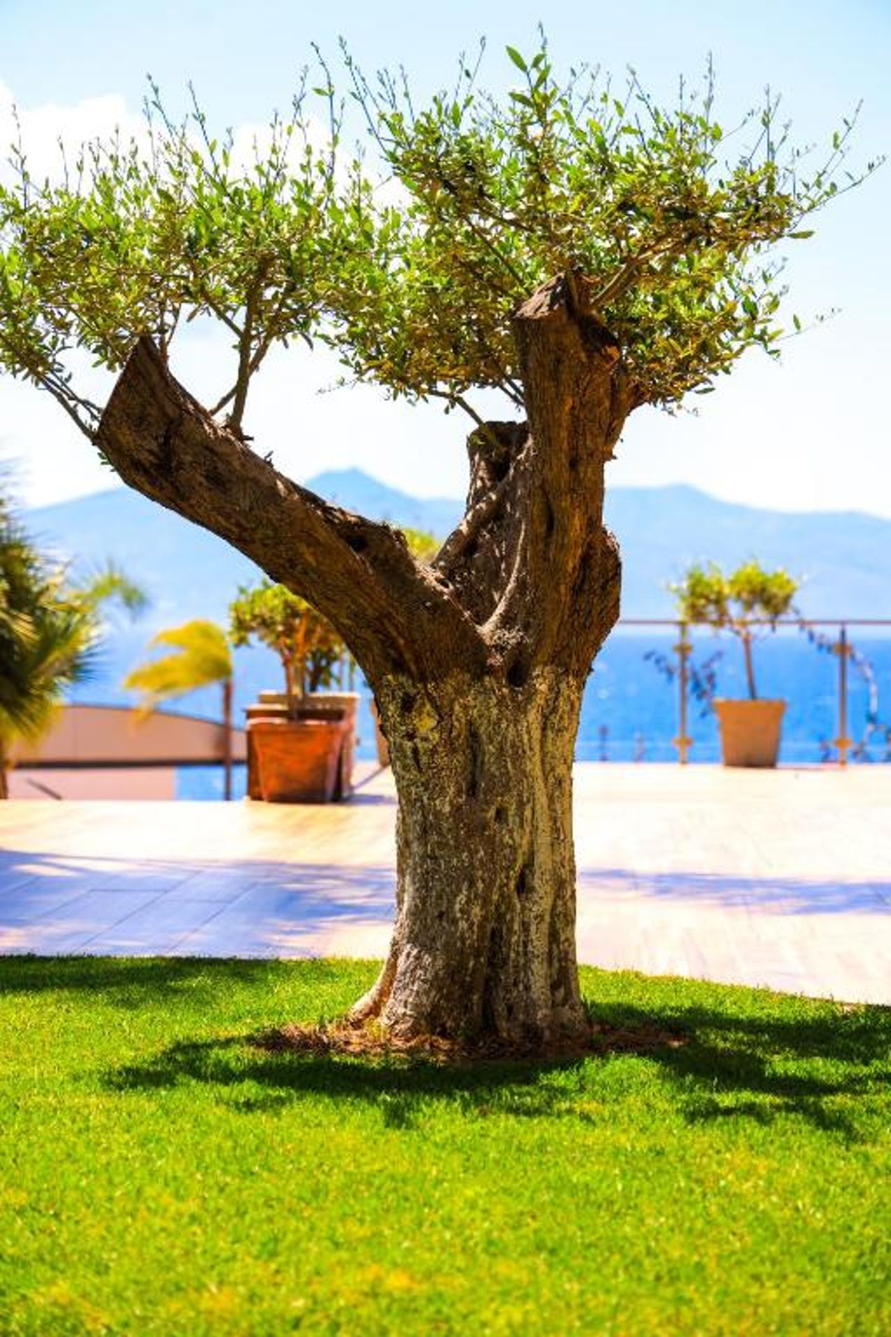Hotel Apollon Sarande