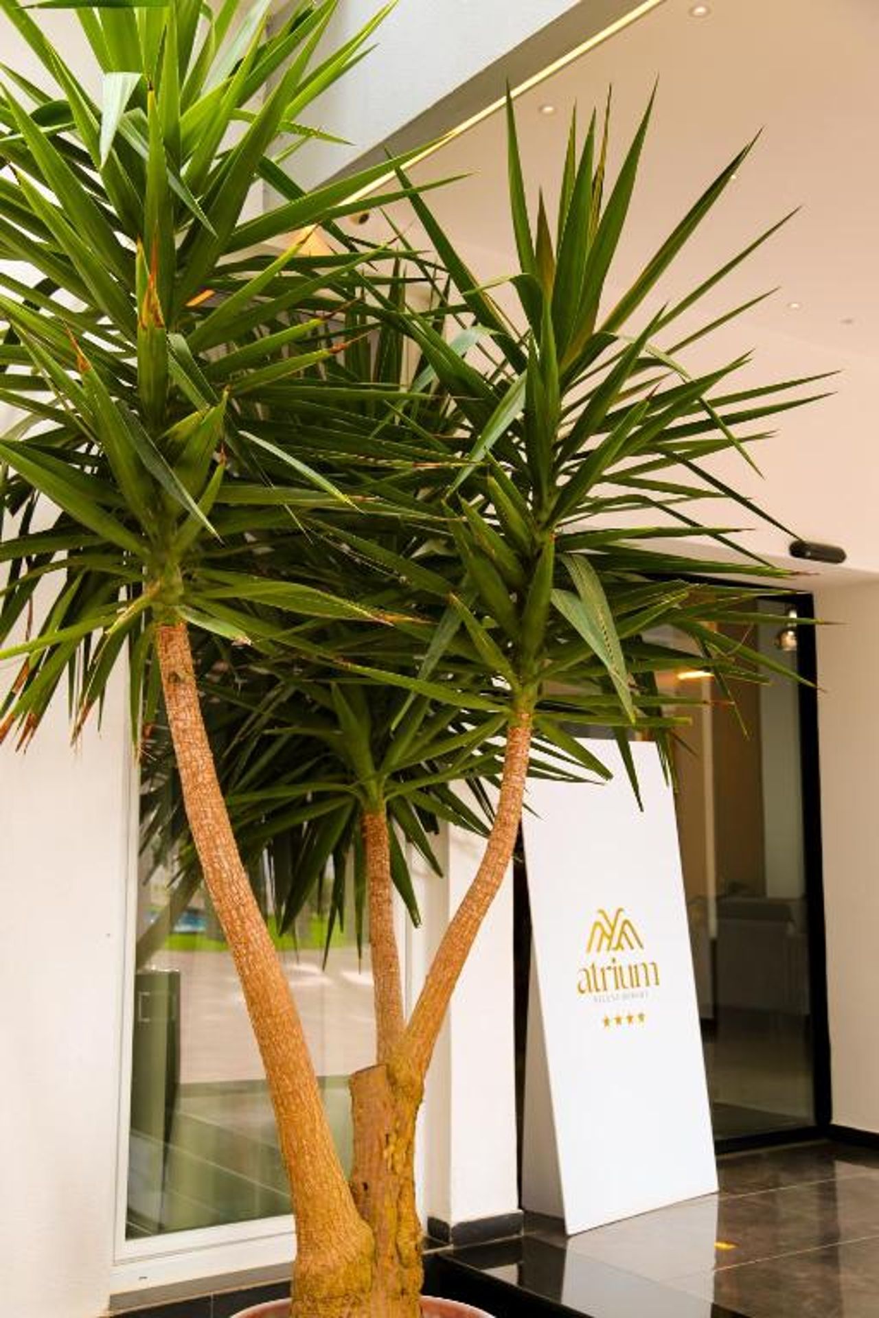 Atrium Deluxe Resort