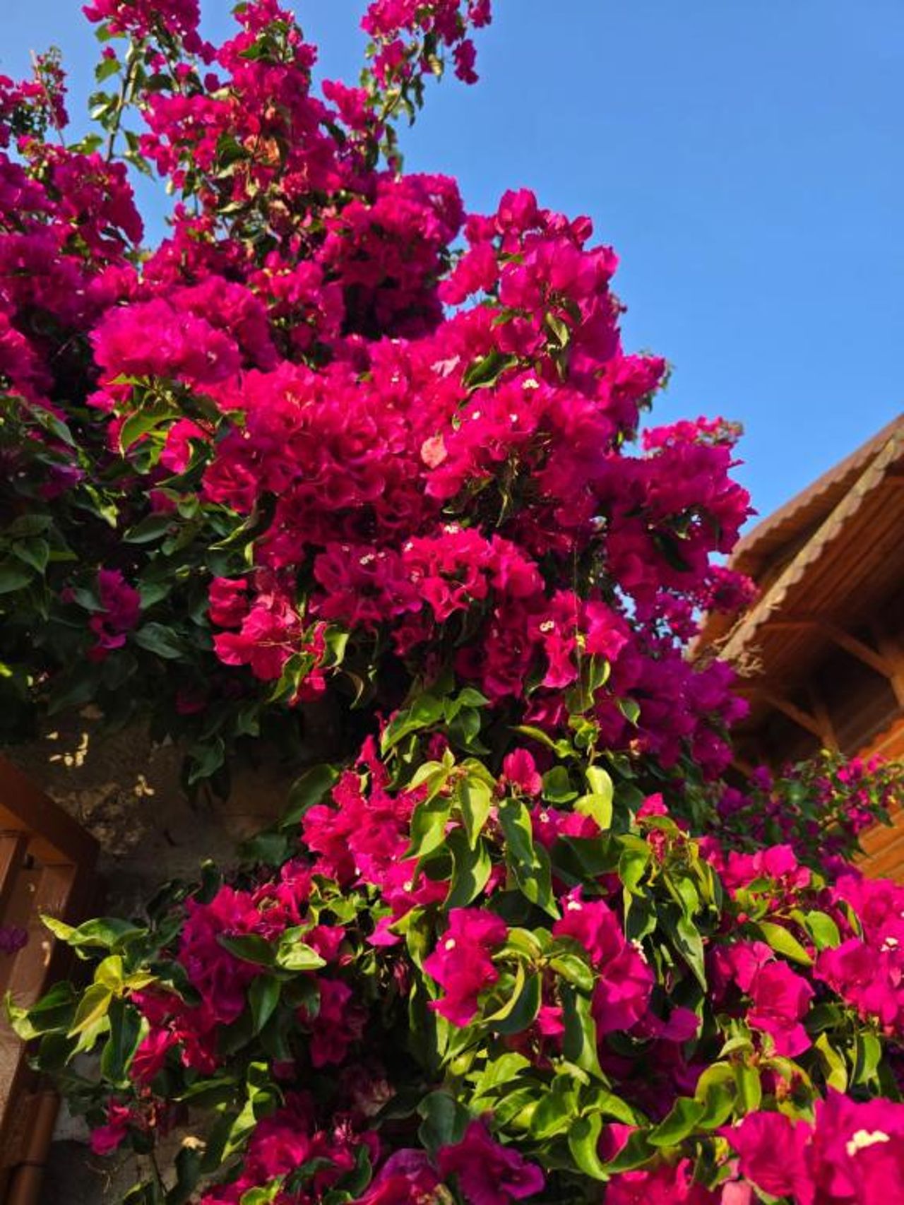 Guest House Luiza