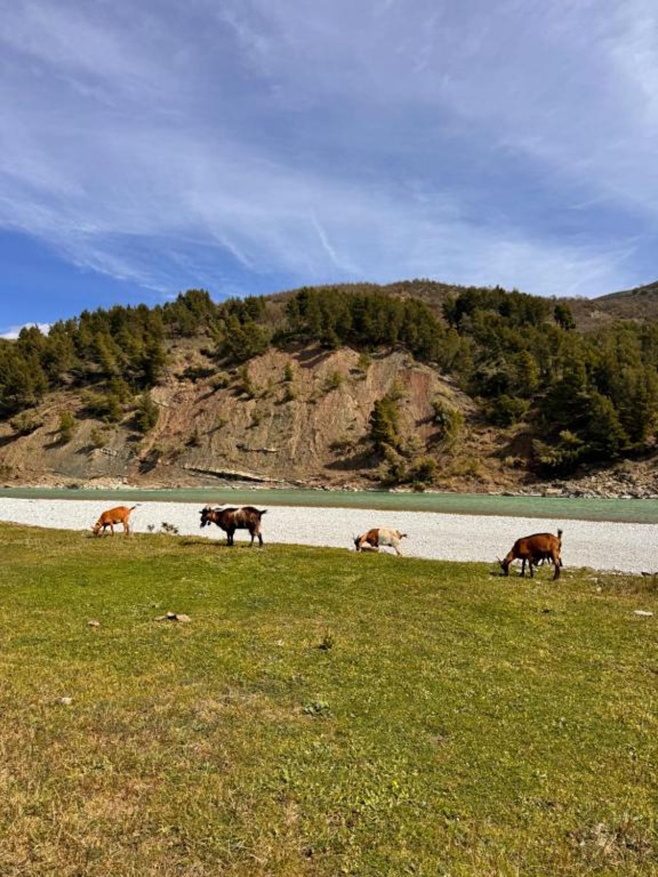 Sancho Farm Albania