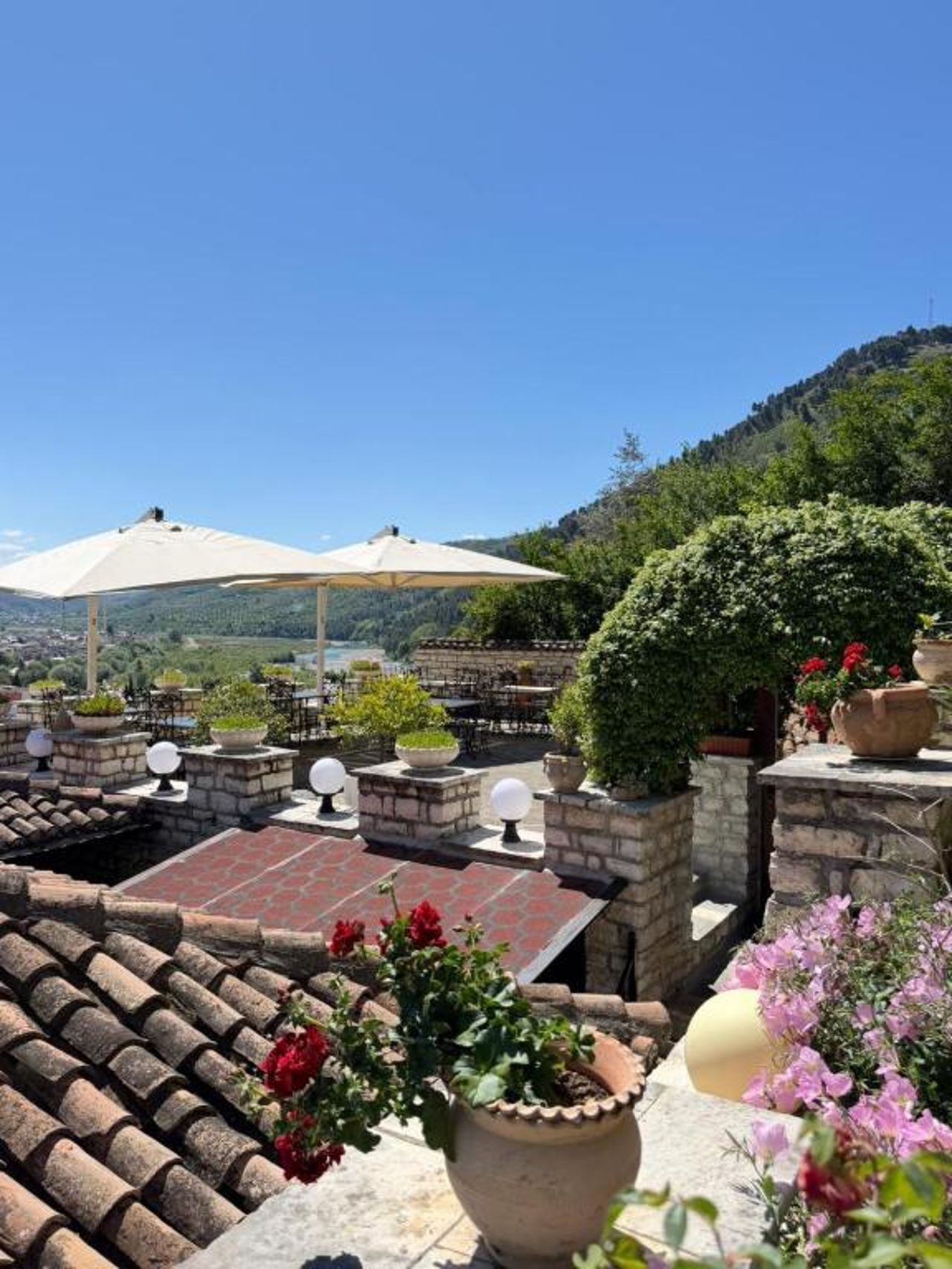Hotel Vila Aleksander