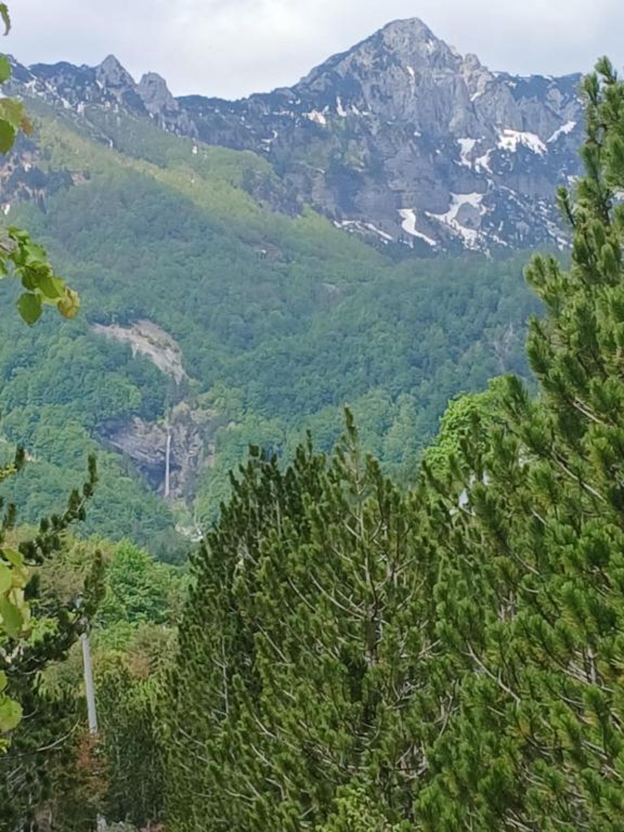 Bujtina Albjoni