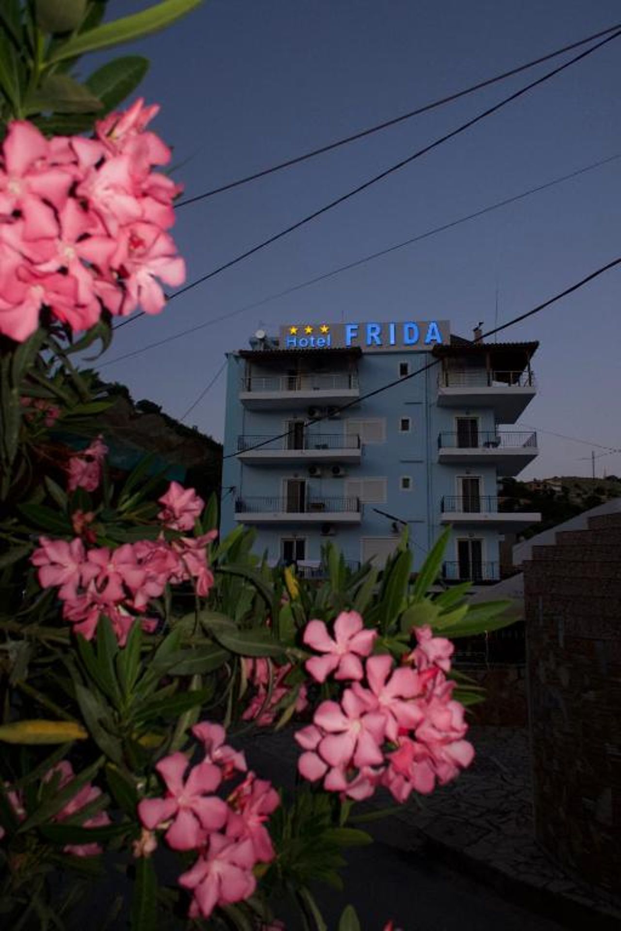 Hotel Frida