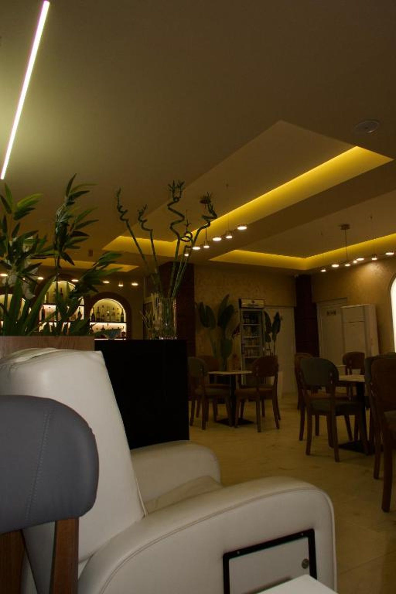 Hotel Frida