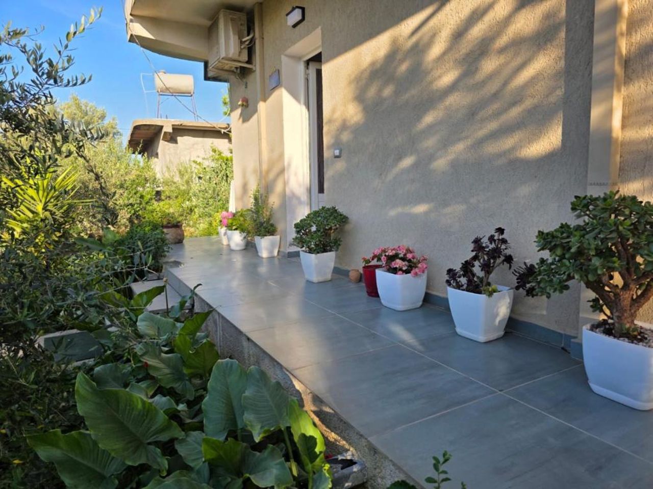 Rey Garden 2