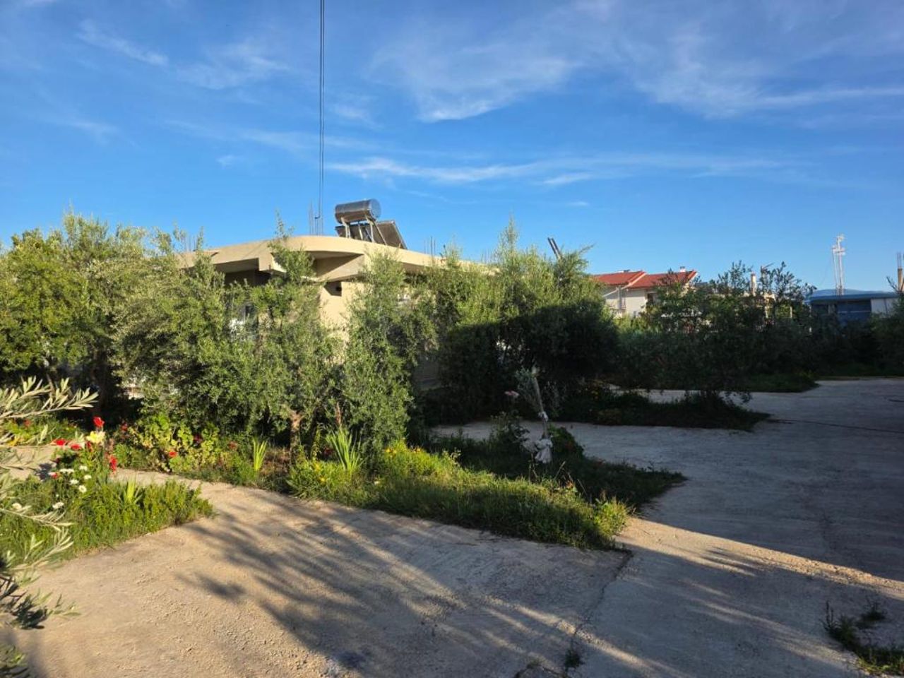 Rey Garden 2