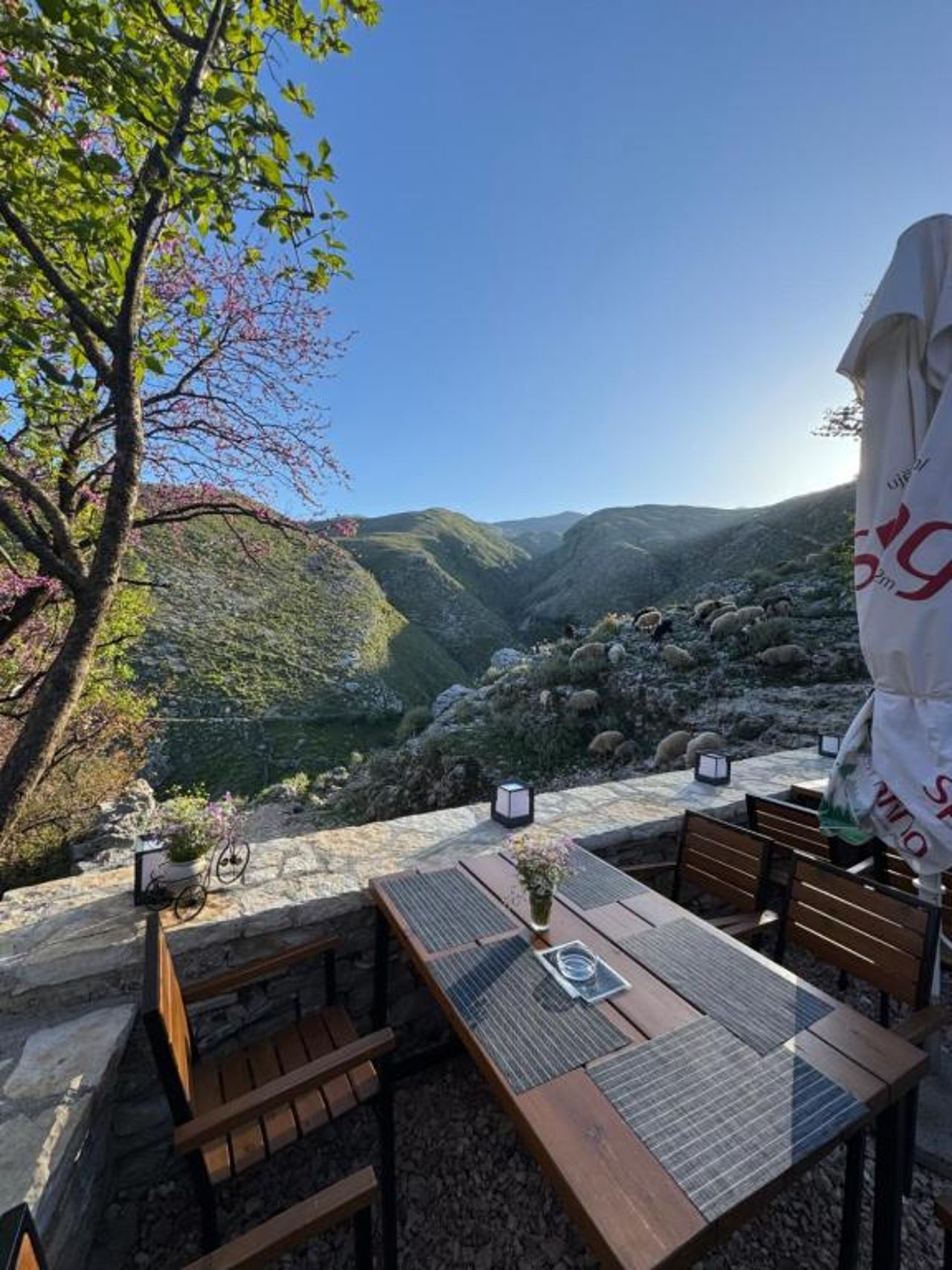 Guesthouse, Bar & Restaurant Çani