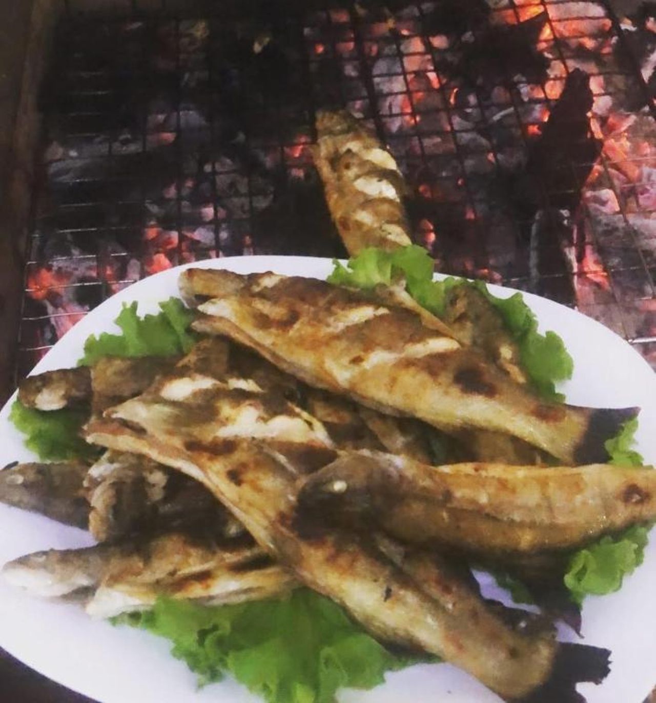 Cemi Rooms - River View & Traditional Restaurant
