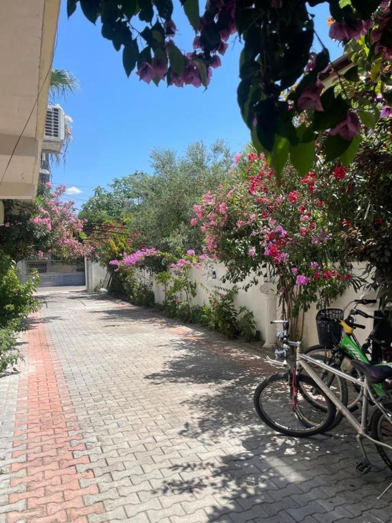 Ilirida-Swimming pool & garden view rooms for rent