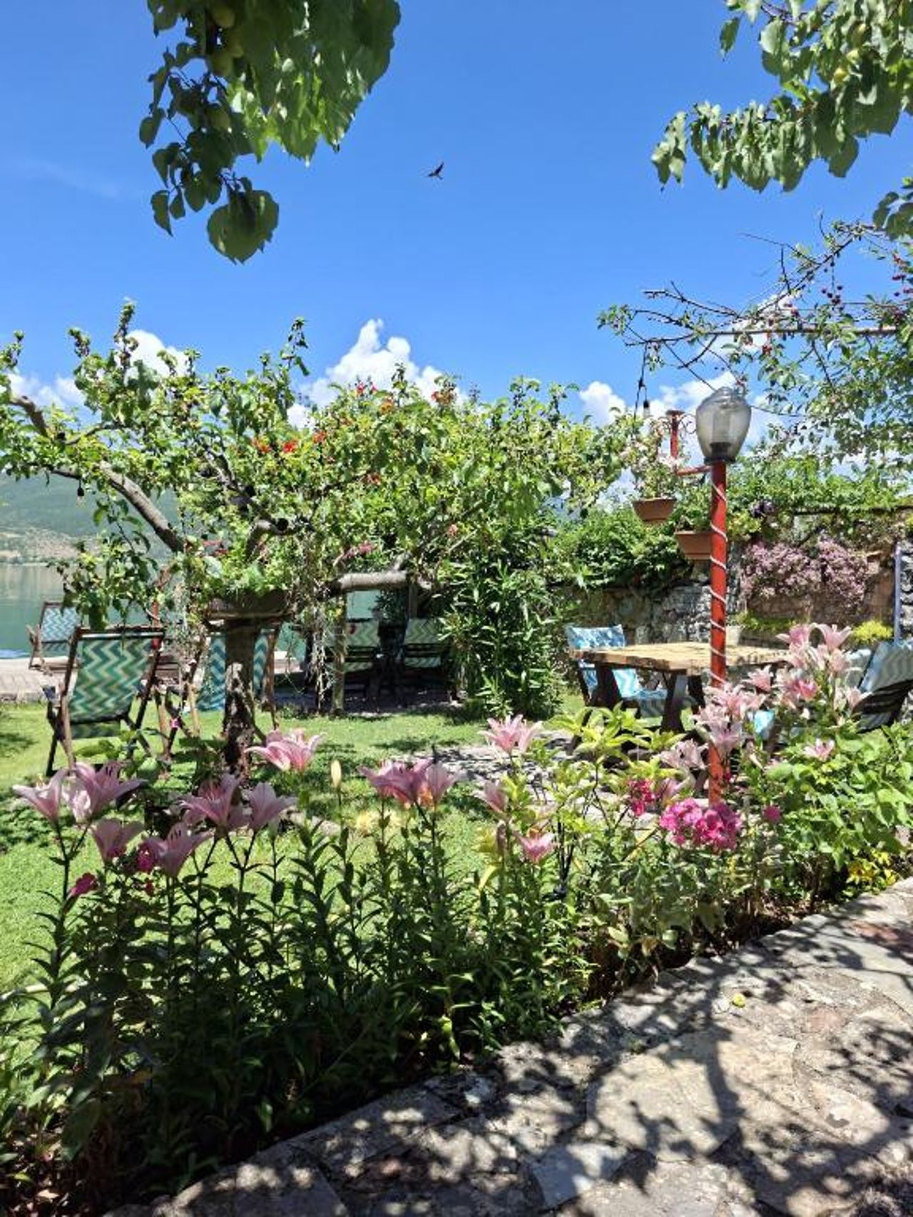 Guest House Lin