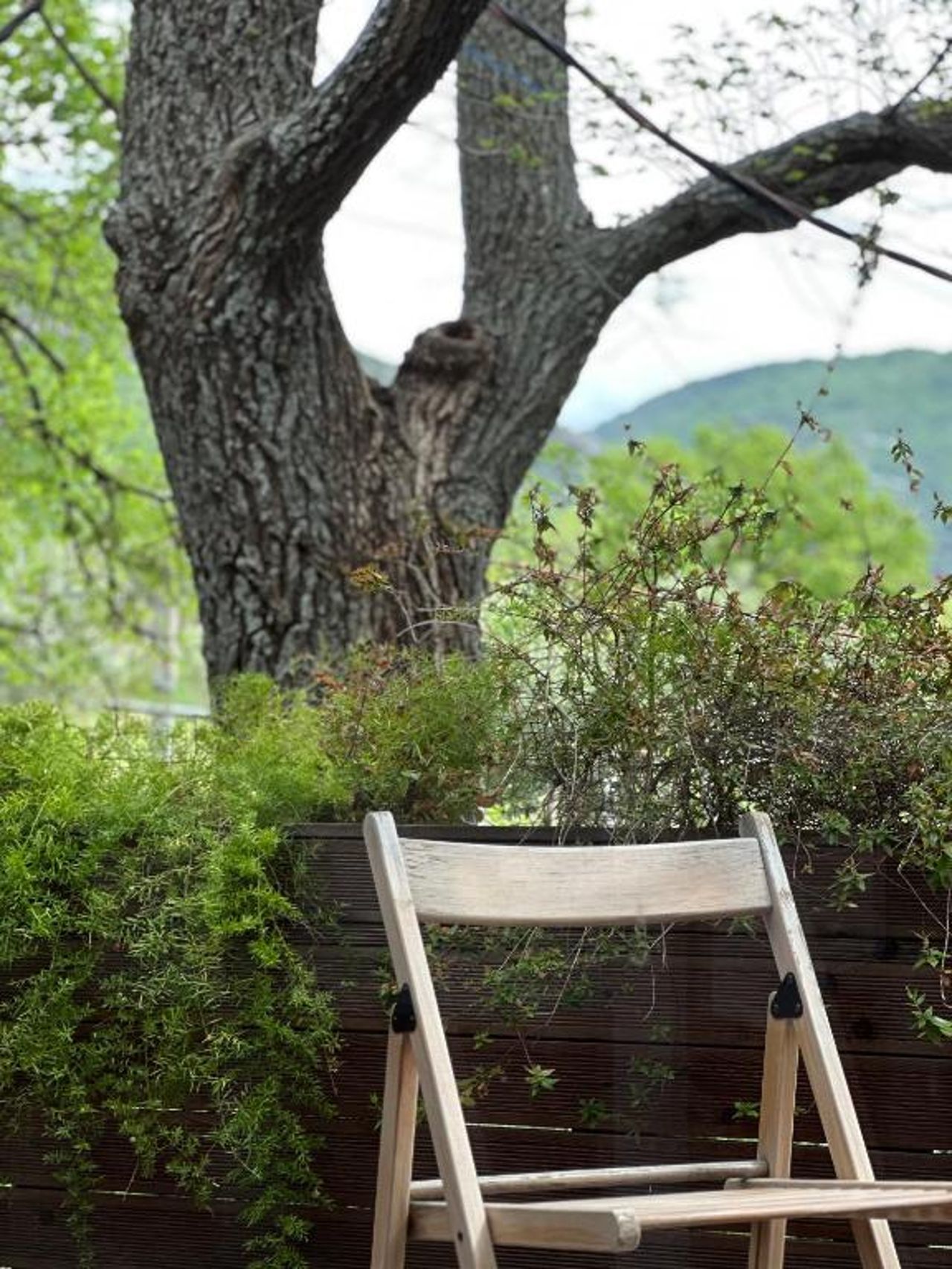 Natyra e Qetë Hideaway
