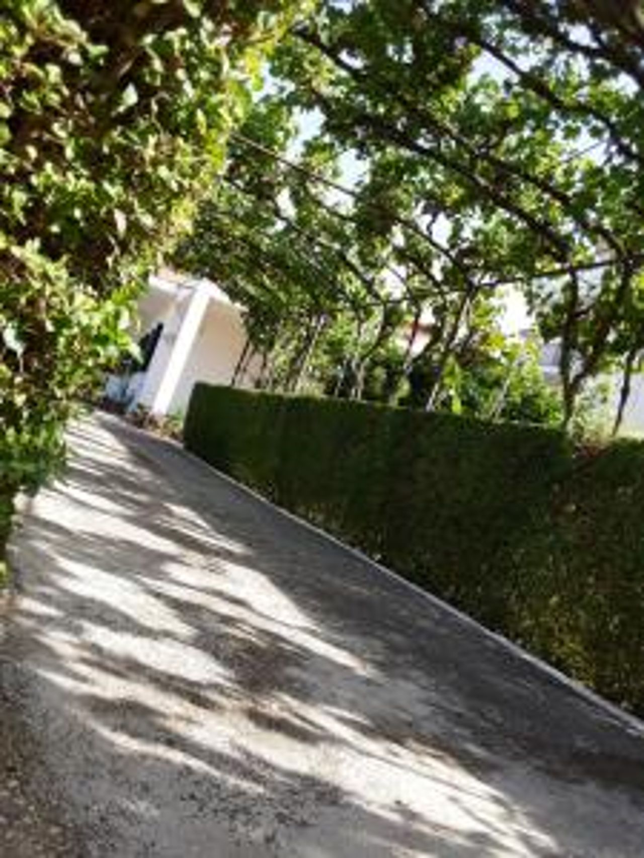 House 28