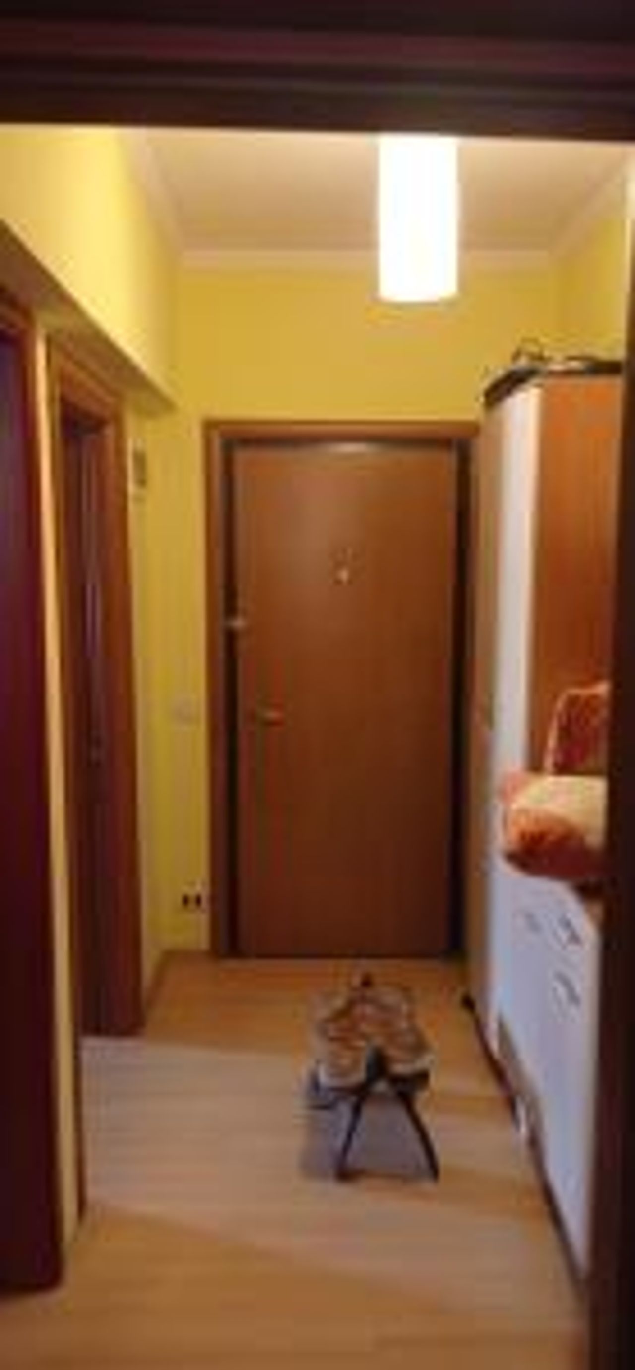 Apartment in center of Tirana