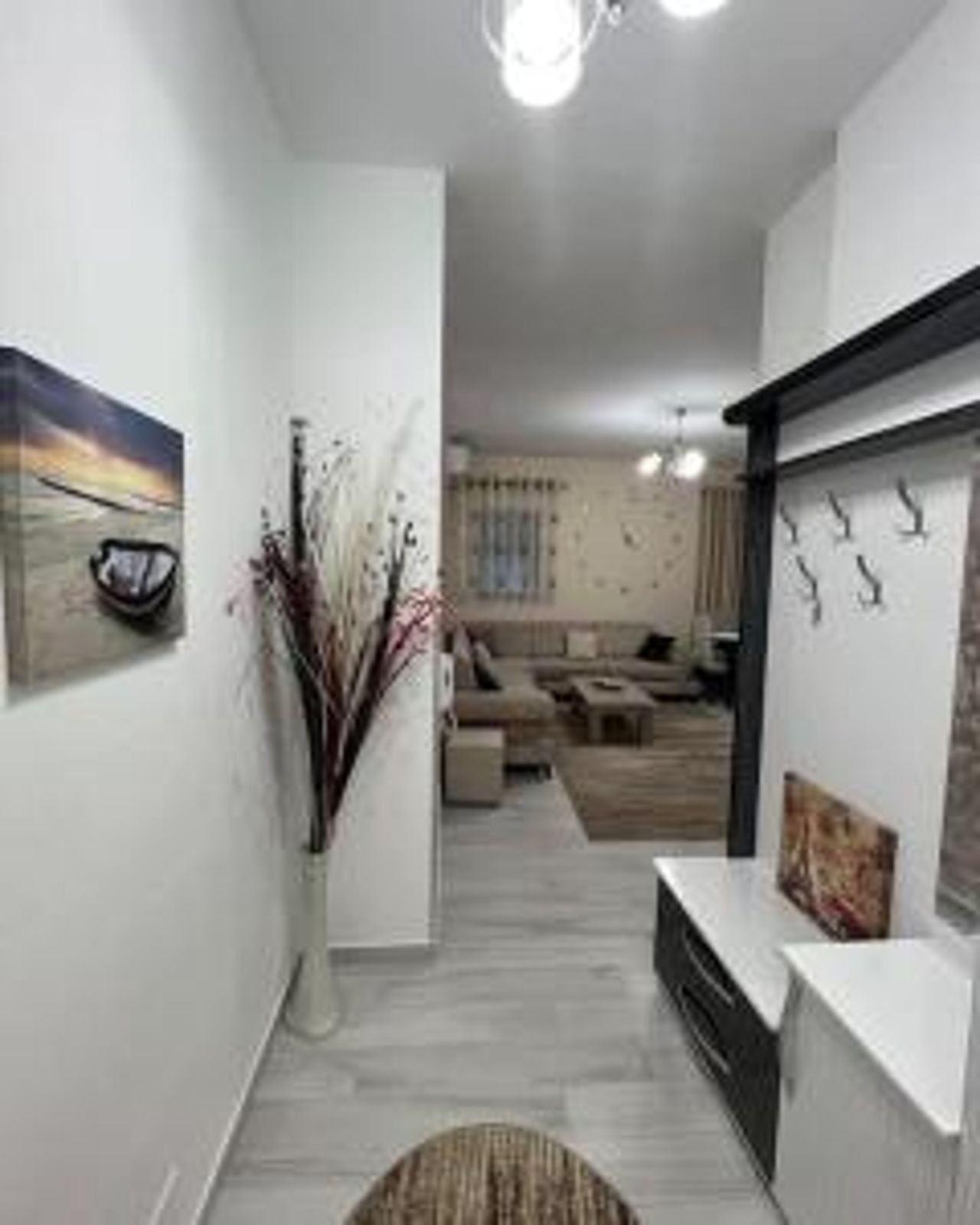 Amazing Apartment