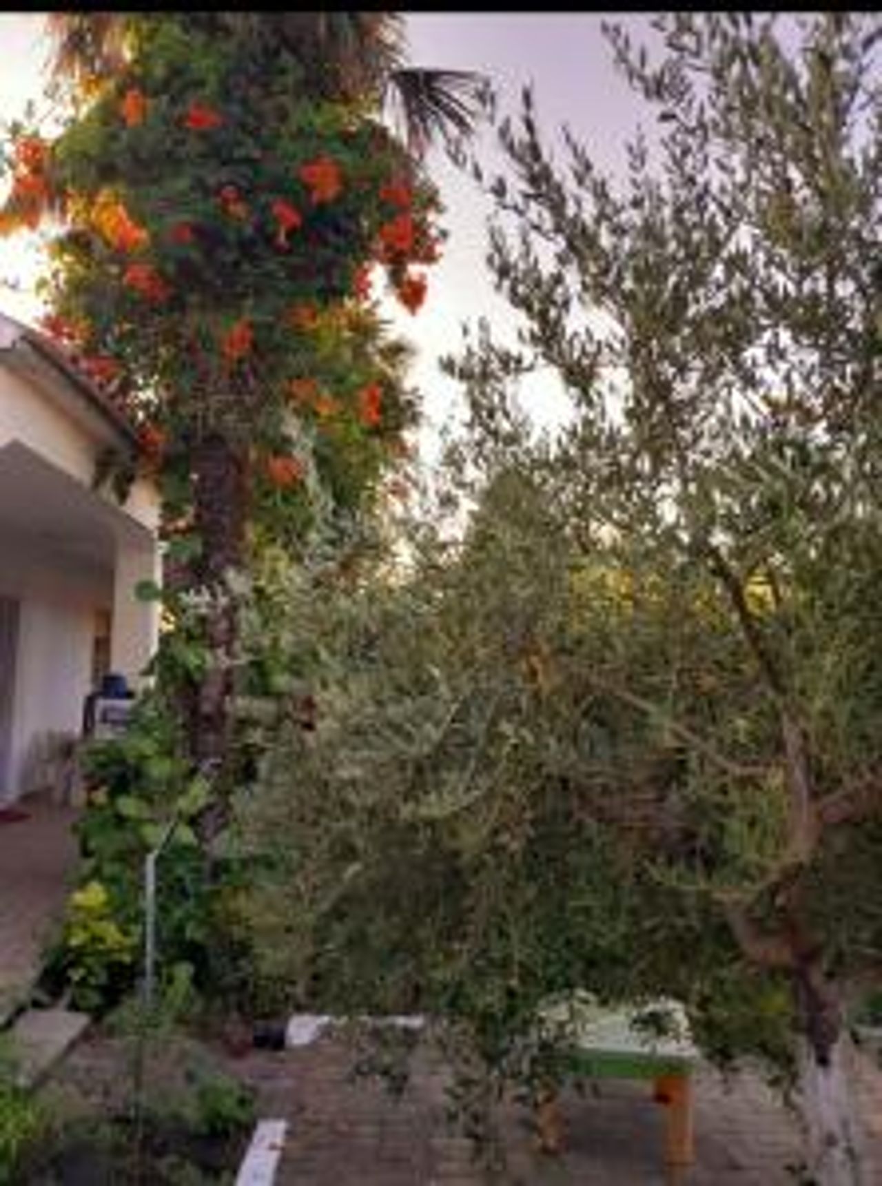 casa indipendente vicino al mare