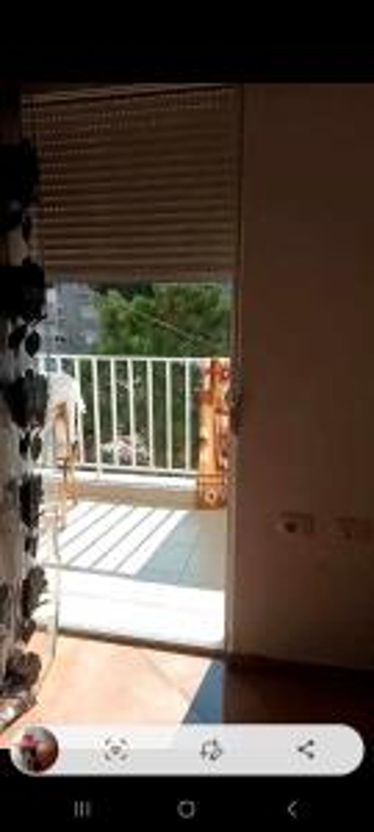 Sofia's apartment 2