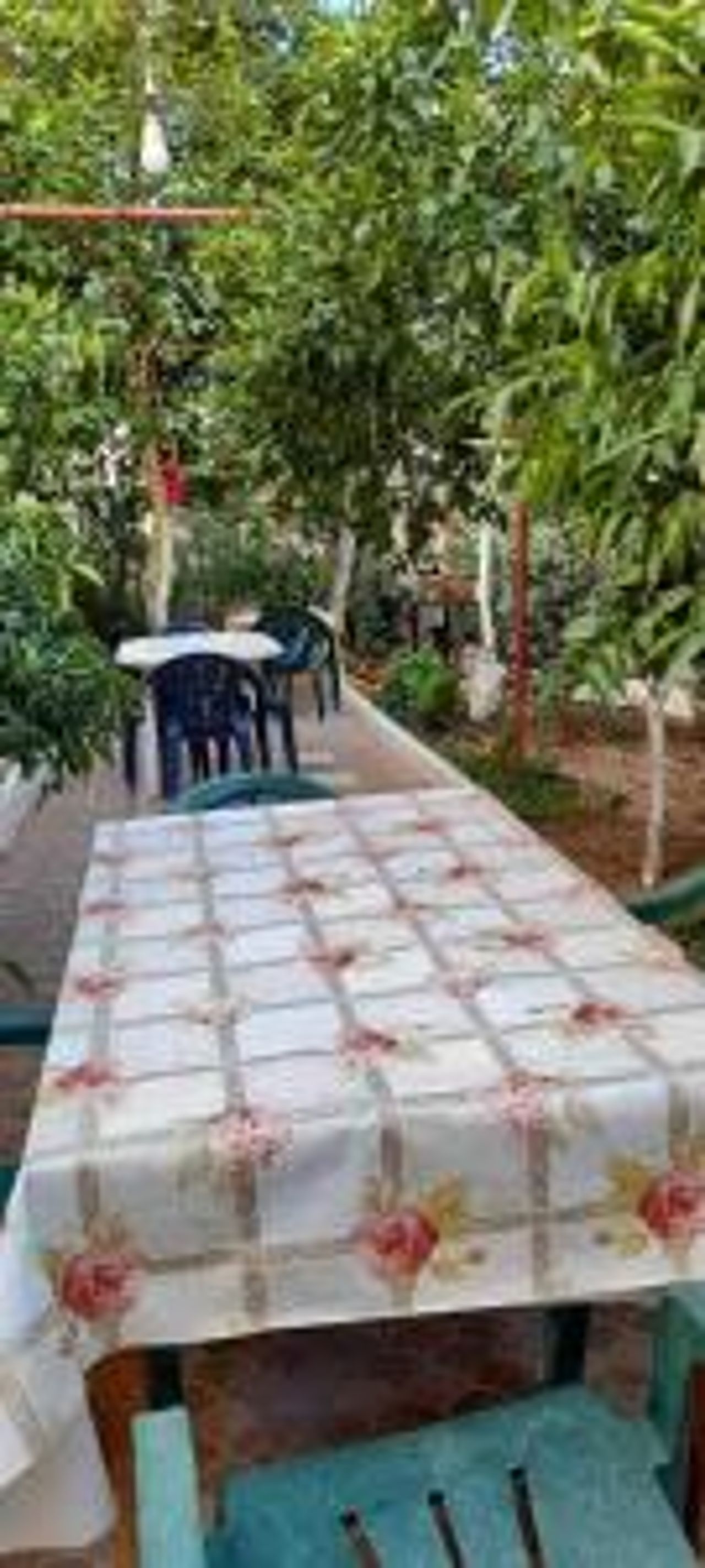 Sanos GardenApartament