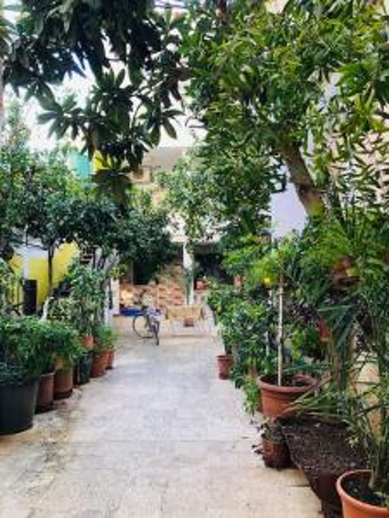 Villa Sami’s Garden