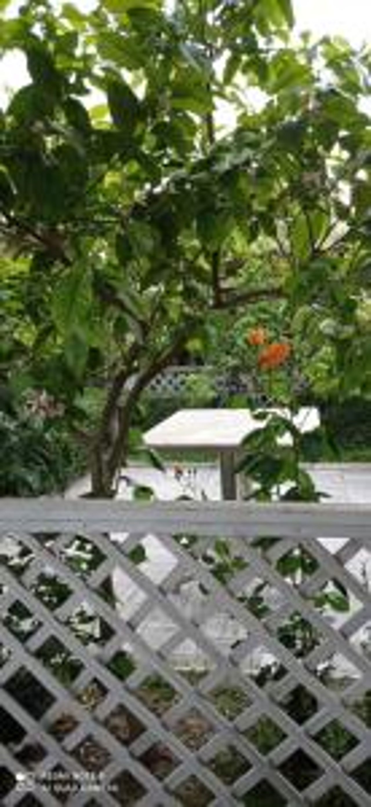 Fari Hotel