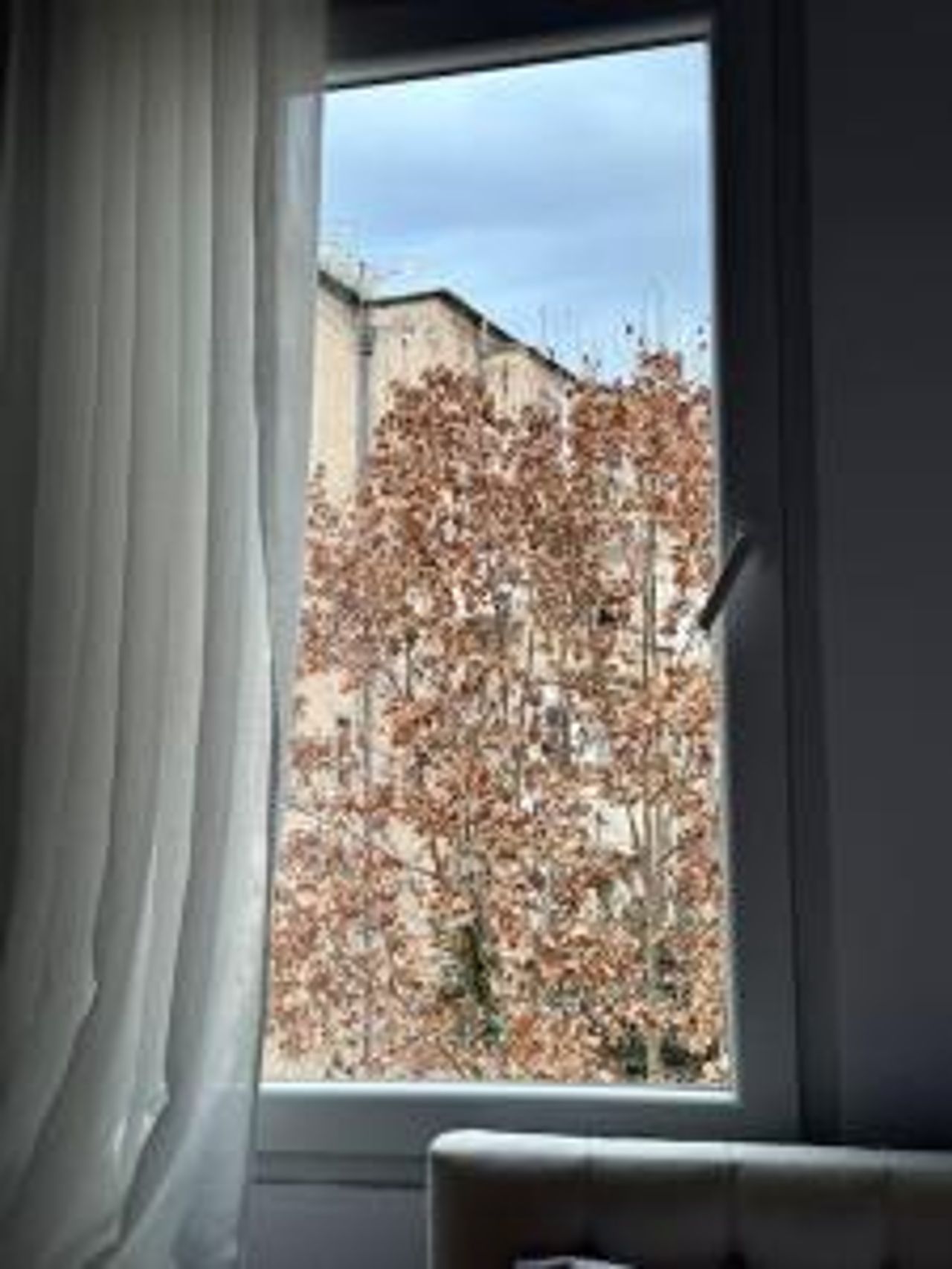 Cozy Apartment in Tirana