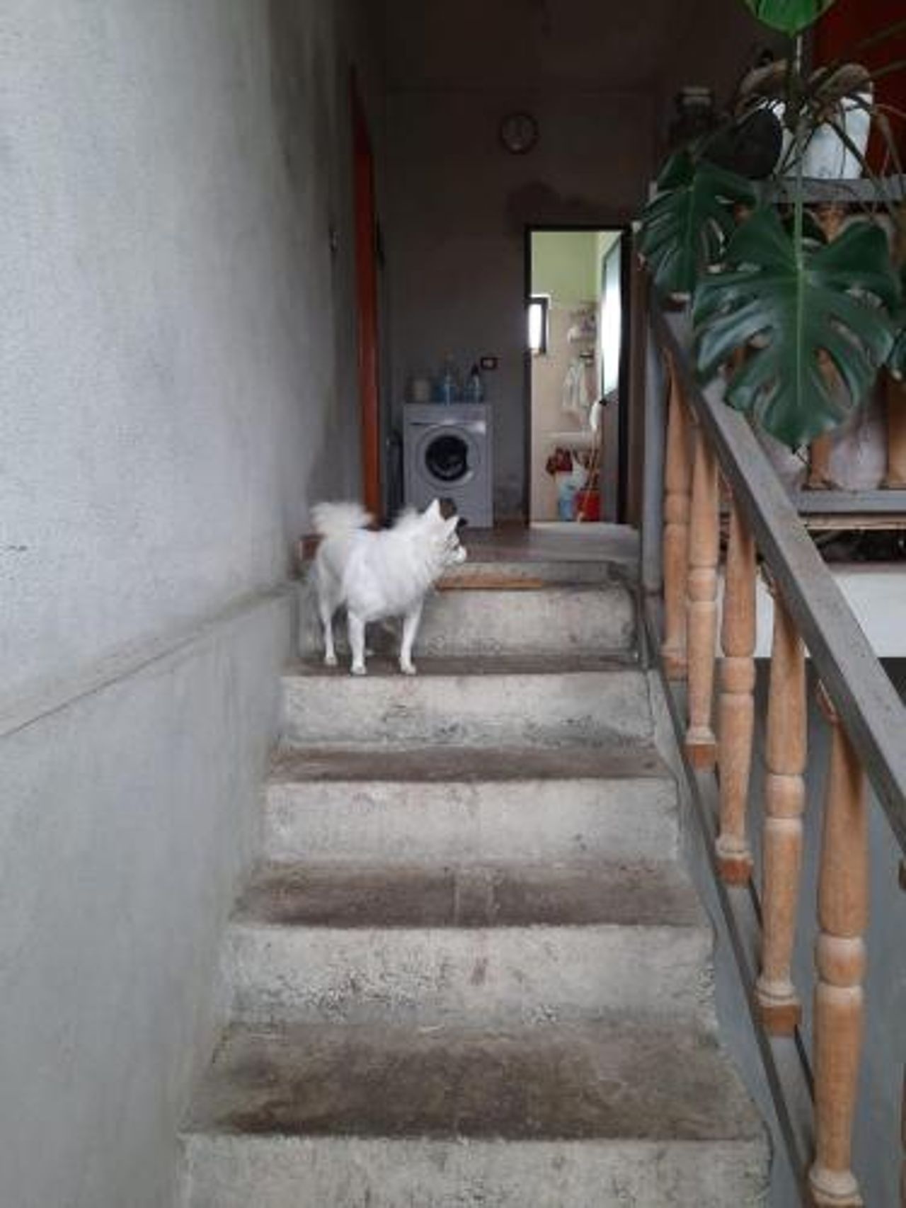 Beautiful 2 room apartment 5 Minutes from Center of Shkodra