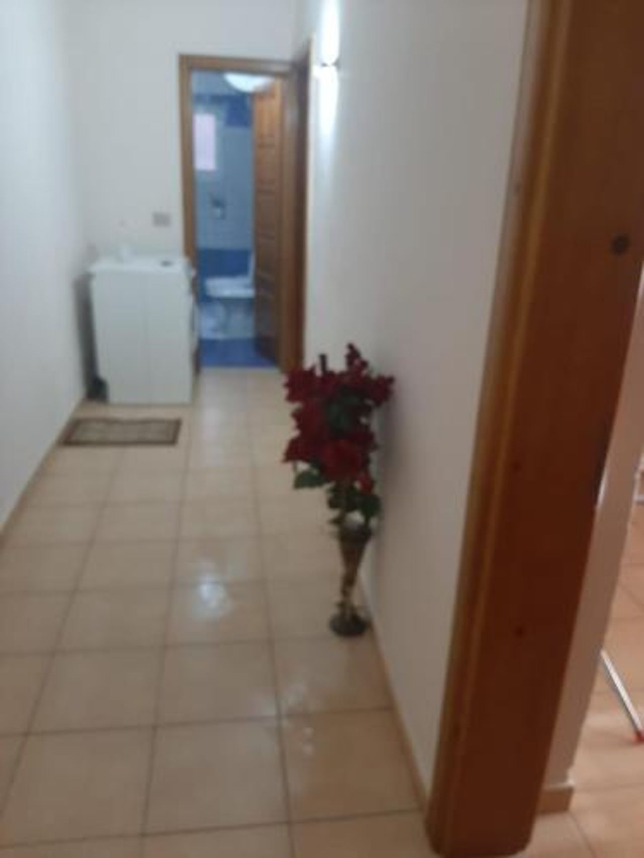 Iviol apartament