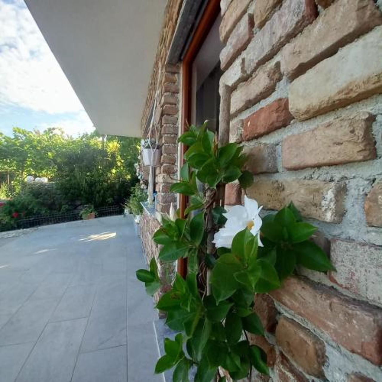 Vila Pasha